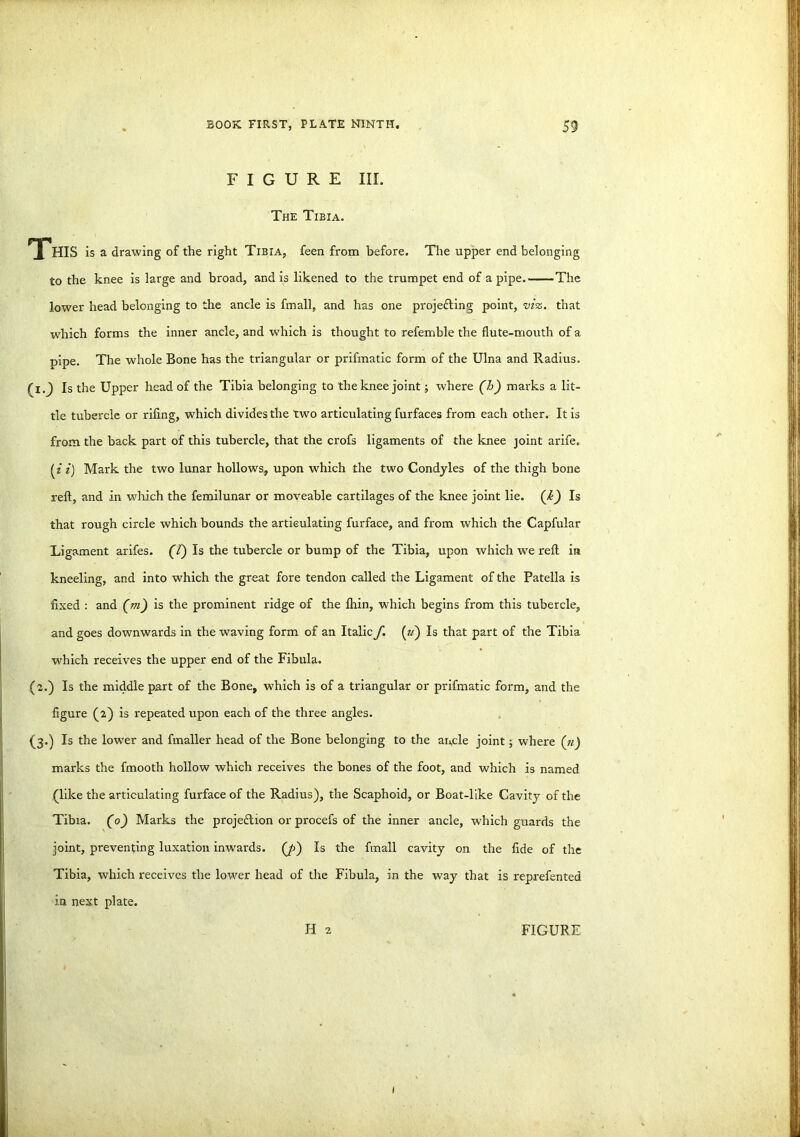 FIGURE III. The Tibia. *X*HIS is a drawing of the right Tibia, feen from before. The upper end belonging to the knee is large and broad, and is likened to the trumpet end of a pipe. The lower head belonging to the ancle is fmall, and has one projecting point, viz. that which forms the inner ancle, and which is thought to refemble the flute-mouth of a pipe. The whole Bone has the triangular or prifmatic form of the Ulna and Radius. (l._) Is the Upper head of the Tibia belonging to the knee joint; where (h) marks a lit- tle tubercle or riling, which divides the two articulating furfaces from each other. It is from the back part of this tubercle, that the crofs ligaments of the knee joint arife. (f i) Mark the two lunar hollows, upon which the two Condyles of the thigh bone reft, and in which the femilunar or moveable cartilages of the knee joint lie. (£) Is that rough circle which bounds the articulating furface, and from which the Capfular Ligament arifes. (7) Is the tubercle or bump of the Tibia, upon which we reft ia kneeling, and into which the great fore tendon called the Ligament of the Patella is fixed : and (m) is the prominent ridge of the lhin, which begins from this tubercle, and goes downwards in the waving form of an Italic f. («) Is that part of the Tibia which receives the upper end of the Fibula. (2.) Is the middle part of the Bone, which is of a triangular or prifmatic form, and the figure (2) is repeated upon each of the three angles. (3.) Is the lower and fmaller head of the Bone belonging to the ancle joint; where (n) marks the fmooth hollow which receives the bones of the foot, and which is named (like the articulating furface of the Radius), the Scaphoid, or Boat-like Cavity of the Tibia. (0) Marks the projefhon or procefs of the inner ancle, which guards the joint, preventing luxation inwards. (/>) Is the fmall cavity on the fide of the Tibia, which receives the lower head of the Fibula, in the way that is reprefented in next plate. H 2 FIGURE 1
