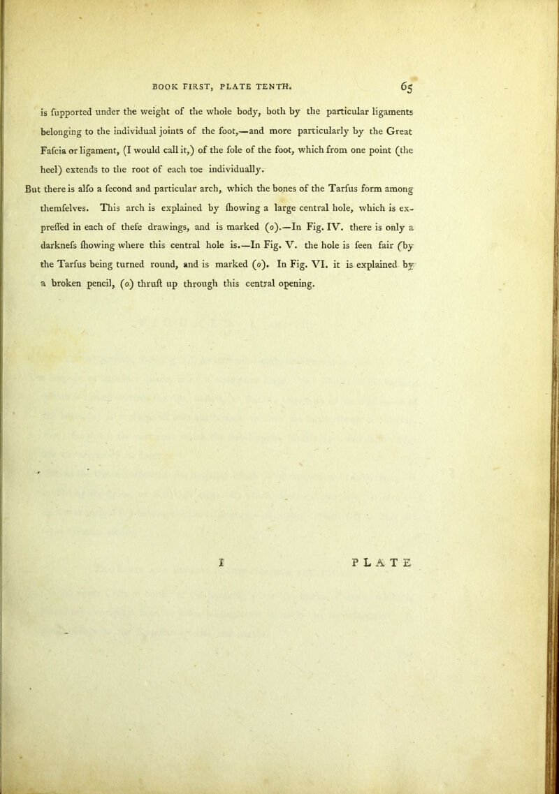 is fupported under the weight of the whole body, both by the particular ligaments belonging to the individual joints of the foot,—and more particularly by the Great Fafcia or ligament, (I would call it,) of the foie of the foot, which from one point (the heel) extends to the root of each toe individually. But there is alfo a fecond and particular arch, which the bones of the Tarfus form among themfelves. This arch is explained by fhowing a large central hole, which is ex- preffed in each of thefe drawings, and is marked (0).—In Fig. IV. there is only a darknefs lhowing where this central hole is.—In Fig. V. the hole is feen fair (by the Tarfus being turned round, and is marked (0). In Fig. VI. it is explained by a broken pencil, (0) thruft up through this central opening.