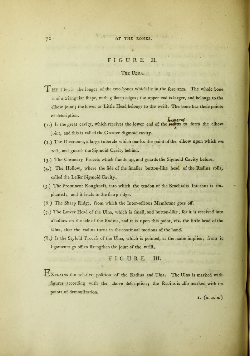 FIGURE II. The Ulna.. I HE Ulna is the longer of the two bones which lie in the fore arm. The whole bone is of a triangular Ihape, with 3 fharp edges ; the upper end is larger, and belongs to the elbow joint; the lower or Little Head belongs to the wrift. The bone has thefe points of description-. Jimtitruf (1.) Is the great cavity,, which receives the lower end of the wdirrs to form the elbow joint, and this is called the Greater Sigmoid cavity. (2.) The Olecranon, a large tubercle which marks the point of the elbow upon which we reft, and guards the Sigmoid Cavity behind. (3.) The Coronary Procefs which Hands up, and guards the Sigmoid Cavity before. (4.) The Hollow, where the fide of the Smaller button-like head of the Radius rolls, called the Lefier Sigmoid Cavity. (5.) The Prominent Roughnefs, into which the tendon of the Brachialis Internus is im- planted ; and it leads to the Iharp ridge. (6.) The Sharp Ridge, from which the Inter-ofleous Membrane goes off. (7.) The Lower Head of the Ulna, which is fmall, and button-like; for it is received into a hollow on the fide of the Radius, and it is upon this point, viz. the little head of the Ulna, that the radius turns in the continual motions of the hand. Is the Styloid Procefs of the Ulna, which is pointed, as the name implies ; from it ligaments go off to ftrengthen the joint cf the wrift. FIGURE III. JELXplains the relative pofition of the Radius and Ulna. The Ulna is marked with figures according with the above defcription; the Radius is alfo marked with its points of demonftration. 1. («. a. «.)