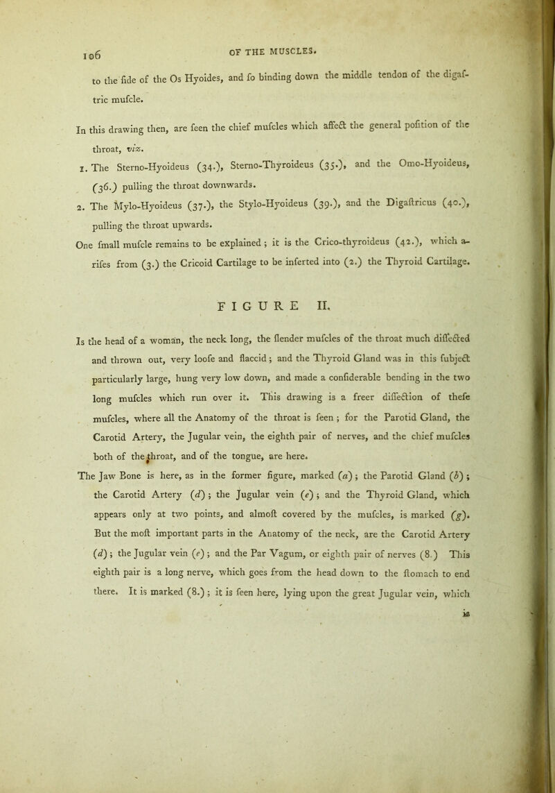 to the fide of the Os Hyoides, and fo binding down the middle tendon of the digaf- tric mufcle. In this drawing then, are feen the chief mufcles which affeft the general pofition of the throat, viz. 2. The Sterno-Hyoideus (34.), Sterno-Thyroideus (35*)» an<^ t^ie Omo-Hyoideus, (36.) pulling the throat downwards. 2. The Mylo-Hyoideus (37.), the Stylo-Hyoideus (39.), and the Digaftricus (40.), pulling the throat upwards. One fmall mufcle remains to be explained ; it is the Crico-thyroideus (42.), which a- rifes from (3.) the Cricoid Cartilage to be inferted into (2.) the Thyroid Cartilage. FIGURE II. Is the head of a woman, the neck long, the (lender mufcles of the throat much difle&ed and thrown out, very loofe and flaccid; and the Thyroid Gland was in this fubjedl particularly large, hung very low down, and made a confiderable bending in the two long mufcles which run over it. This drawing is a freer diffeclion of thefe mufcles, where all the Anatomy of the throat is feen ; for the Parotid Gland, the Carotid Artery, the Jugular vein, the eighth pair of nerves, and the chief mufcles both of the throat, and of the tongue, are here. The Jaw Bone is here, as in the former figure, marked (a) ; the Parotid Gland ([b) ; the Carotid Artery (d~) ; the Jugular vein (<?) ; and the Thyroid Gland, which appears only at two points, and almoft covered by the mufcles, is marked (g). But the mod important parts in the Anatomy of the neck, are the Carotid Artery (d) ; the Jugular vein (e) ; and the Par Vagum, or eighth pair of nerves (8 ) This eighth pair is a long nerve, which goes Prom the head down to the fcomach to end there. It is marked (8.) ; it is feen here, lying upon the great Jugular vein, which k