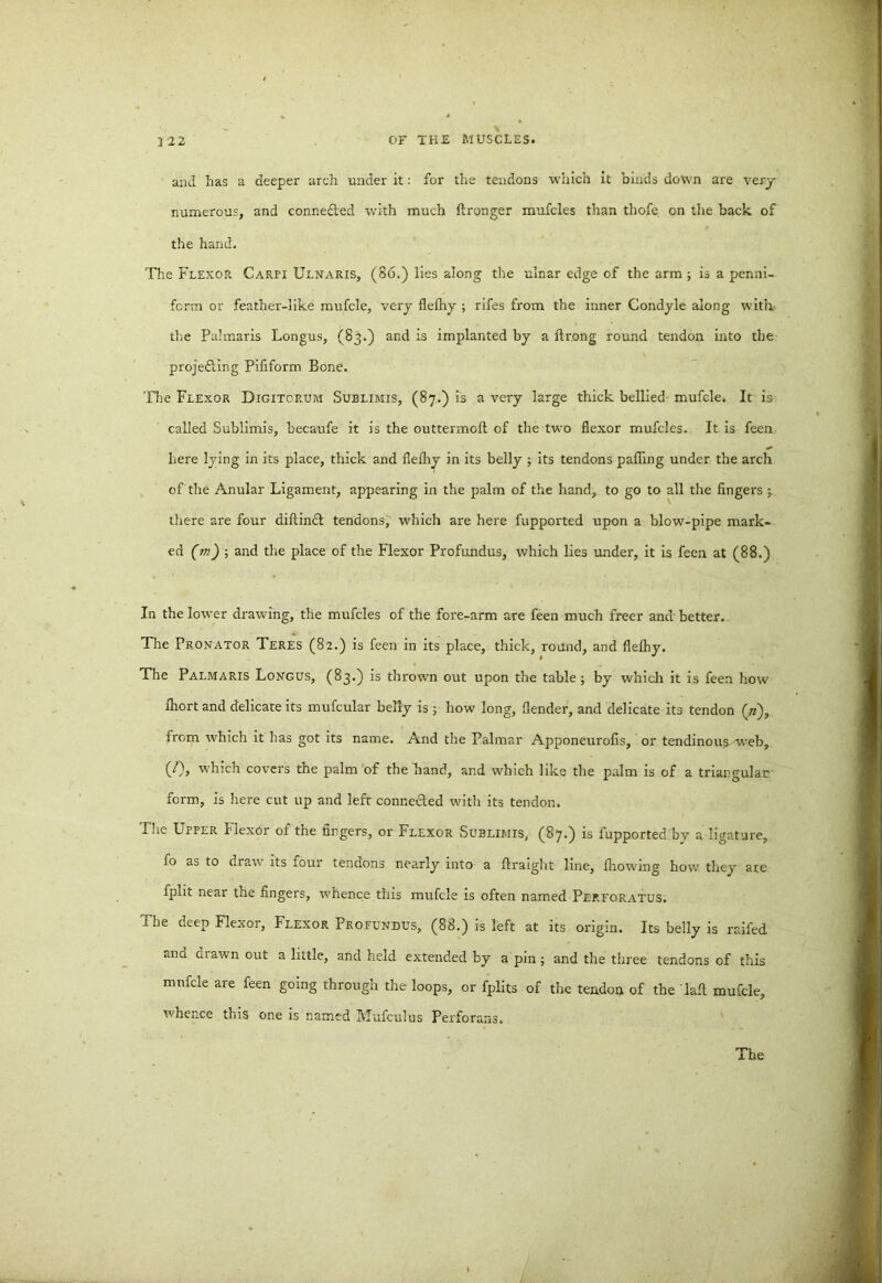 and has a deeper arch under it: for the tendons which it binds down are very numerous, and conne£ted with much ftronger mufcles than thofe on the back of the hand. The Flexor Carpi Ulnaris, (86.) lies along the ulnar edge of the arm ; is a penni- fcrm or feather-like mufcle, very flelhy ; rifes from the inner Condyle along with the Palmaris Longus, (83.) and is implanted by a ftrong round tendon into the projefting Pifiform Bone. The Flexor Digitcrum Sublimis, (87.) is a very large thick bellied mufcle. It is called Sublimis, becaufe it is the outtermoft of the two flexor mufcles. It is feen here lying in its place, thick and flelhy in its belly ; its tendons palling under the arch of the Anular Ligament, appearing in the palm of the hand, to go to all the fingers ^ there are four diftindt tendons, which are here fupported upon a blow-pipe mark- ed (m) ; and the place of the Flexor Profundus, which lies under, it is feen at (88.) In the lower drawing, the mufcles of the fore-arm are feen much freer and better. The Pronator Teres (82.) is feen in its place, thick, round, and flelhy. The Palmaris Longus, (83.) is thrown out upon the table; by which it is feen how lhort and delicate its mufcular belly is ; how long, llender, and delicate its tendon (/z), from which it has got its name. And the Palmar Apponeurofis, or tendinous^web, (/), which covers the palm of the hand, and which like the palm is of a triangular form, is here cut up and left connected with its tendon. The Upper Flexor of the fingers, or Flexor Sublimis, (87.) is fupported by a ligature, fo as to draw its four tendons nearly into a ftraight line, Ihowmg how they are fplit near the fingers, whence this mufcle is often named Perforatus. The deep Flexor, Flexor Profundus, (88.) is left at its origin. Its belly is raifed ana drawn out a little, and held extended by a pin; and the three tendons of this mnfcle are feen going through the loops, or fplits of the tendon of the Tall mufcle, whence this one is named Mufculus Perforans.