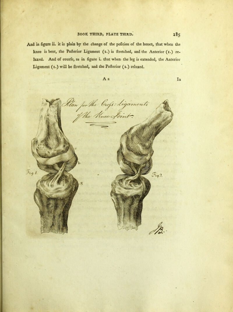 . knee is bent, the Pofterior Ligament (2.) is ftretched, and the Anterior (1.) re- laxed. And of courfe, as in figure i. that when the leg is extended, the Anterior Ligament (1.) will be ftretched, and the Pofterior (2.) relaxed. A a la