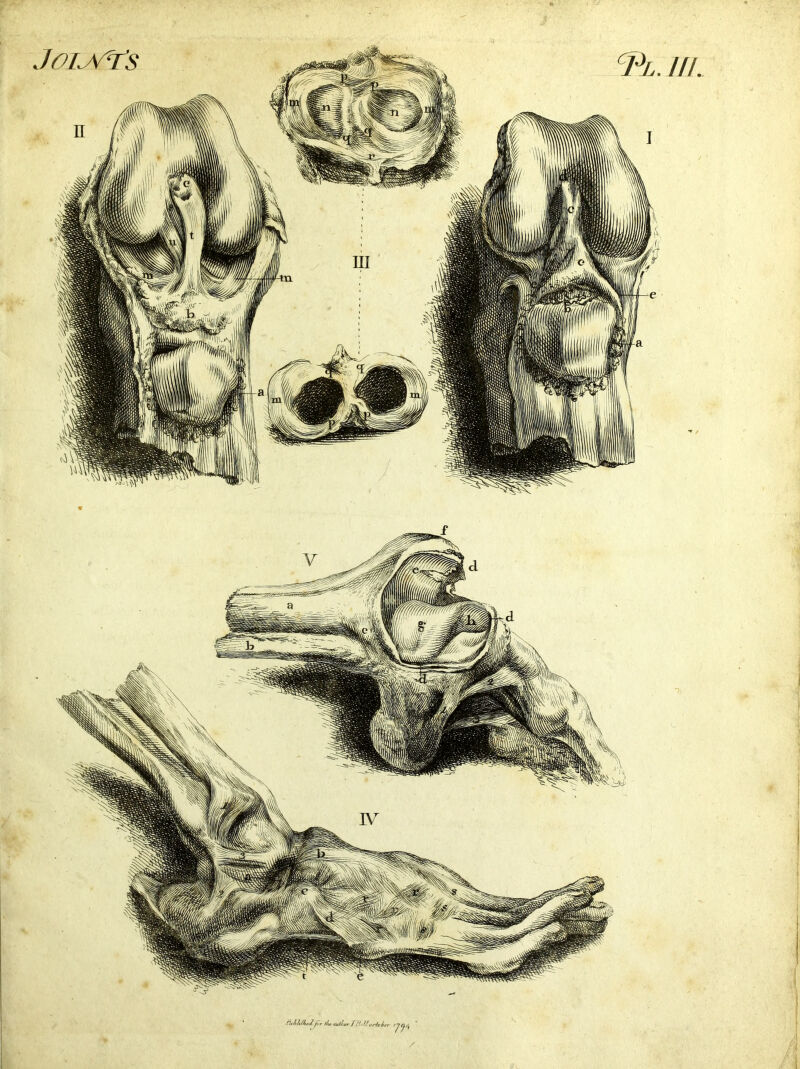 JoijyTs