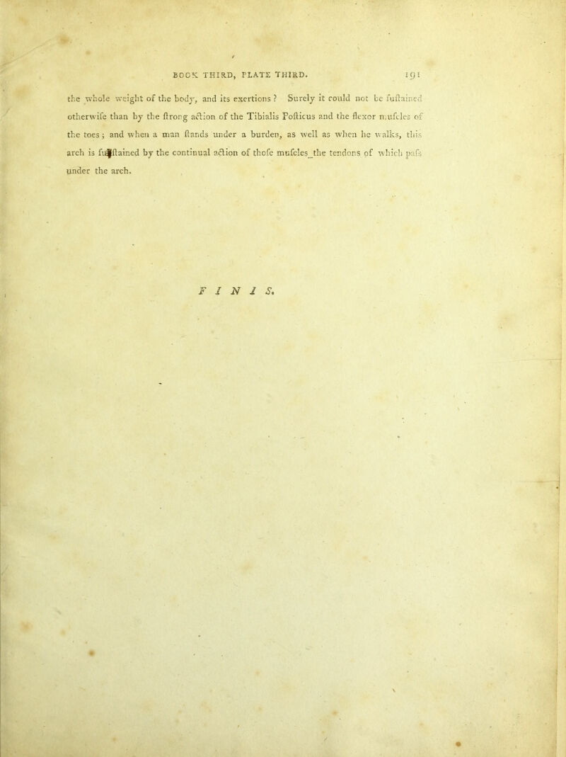 the whole weight of the body, and its exertions ? Surely it rould not be fuilained otherwife than by the ilrong aclion of the Tibialis pofticus and the flexor nmfcles of the toes ; and when a man {lands under a burden, as well as when he walks, this arch is fu^flained by the continual action of thofe mufcles the tendons of which pafs under the arch. FINIS, « v /