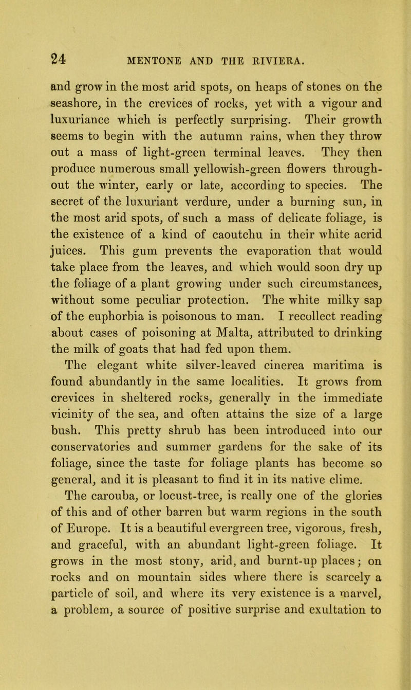and grow in the most arid spots^ on heaps of stones on the seashore, in the crevices of rocks, yet with a vigour and luxuriance which is perfectly surprising. Their growth seems to begin with the autumn rains, when they throw out a mass of light-green terminal leaves. They then produce numerous small yellowish-green flowers through- out the winter, early or late, according to species. The secret of the luxuriant verdure, under a burning sun, in the most arid spots, of such a mass of delicate foliage, is the existence of a kind of caoutchu in their white acrid juices. This gum prevents the evaporation that would take place from the leaves, and which would soon dry up the foliage of a plant growing under such circumstances, without some peculiar protection. The white milky sap of the euphorbia is poisonous to man. I recollect reading about cases of poisoning at Malta, attributed to drinking the milk of goats that had fed upon them. The elegant white silver-leaved cinerea maritima is found abundantly in the same localities. It grows from crevices in sheltered rocks, generally in the immediate vicinity of the sea, and often attains the size of a large bush. This pretty shrub has been introduced into our conservatories and summer gardens for the sake of its foliage, since the taste for foliage plants has become so general, and it is pleasant to find it in its native clime. The carouba, or locust-tree, is really one of the glories of this and of other barren but warm regions in the south of Europe. It is a beautiful evergreen tree, vigorous, fresh, and graceful, with an abundant light-green foliage. It grows in the most stony, arid, and burnt-up places; on rocks and on mountain sides where there is scarcely a particle of soil, and where its very existence is a marvel, a problem, a source of positive surprise and exultation to