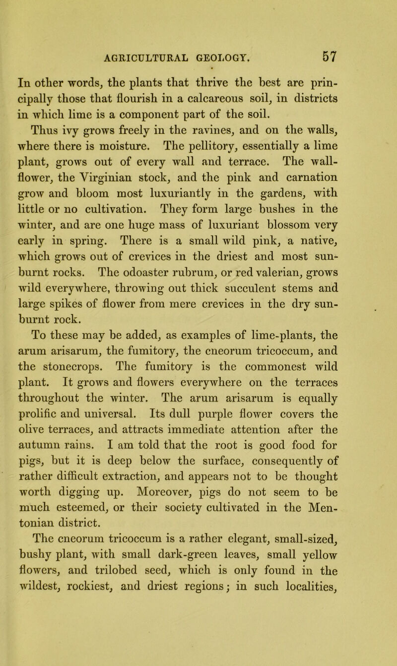 In other words, the plants that thrive the best are prin- cipally those that flourish in a calcareous soil, in districts in which lime is a component part of the soil. Thus ivy grows freely in the ravines, and on the walls, where there is moisture. The pellitory, essentially a lime plant, grows out of every wall and terrace. The wall- flower, the Virginian stock, and the pink and carnation grow and bloom most luxuriantly in the gardens, with little or no cultivation. They form large bushes in the winter, and are one huge mass of luxuriant blossom very early in spring. There is a small wild pink, a native, which grows out of crevices in the driest and most sun- burnt rocks. The odoaster rubrum, or red valerian, grows wild everywhere, throwing out thick succulent stems and large spikes of flower from mere crevices in the dry sun- burnt rock. To these may be added, as examples of lime-plants, the arum arisarum, the fumitory, the cneorum tricoccum, and the stonecrops. The fumitory is the commonest wild plant. It grows and flowers everywhere on the terraces throughout the winter. The arum arisarum is equally prolific and universal. Its dull purple flower covers the olive terraces, and attracts immediate attention after the autumn rains. I am told that the root is good food for pigs, but it is deep below the surface, consequently of rather difficult extraction, and appears not to be thought worth digging up. Moreover, pigs do not seem to be much esteemed, or their society cultivated in the Men- tonian district. The cneorum tricoccum is a rather elegant, small-sized, bushy plant, with small dark-green leaves, small yellow flowers, and trilobed seed, which is only found in the wildest, rockiest, and driest regions; in such localities.