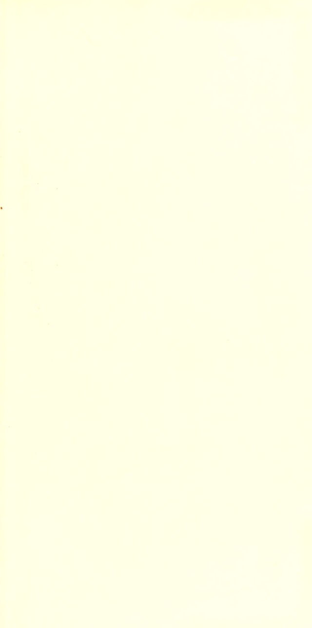 digitised image 3