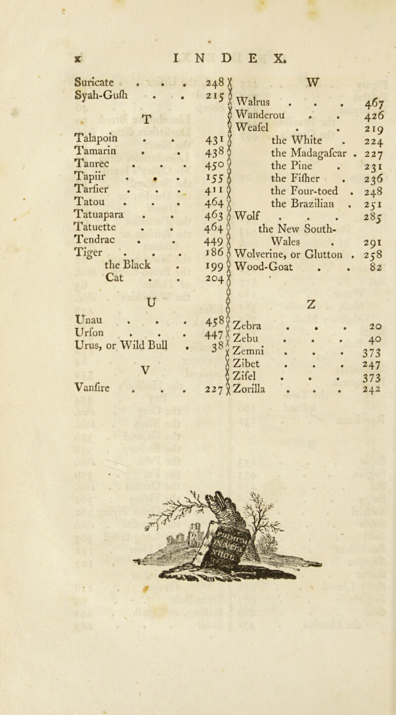 Suricate Syah-Gufh T Talapoin Tamarin Tanrec 1apnr . * Tarfier Tatou Tatuapara Tatuette Tendrac Tiger the Black Cat U ' Unau Urfon Urus, or Wild Bull . V Vanfire 248 X X W 215 y Walrus 0 Wanderou X Weafel 4311 438 0 45° X J55 h 411 0 464 X 463 f Wolf . 4^4 v the New South- 449 X Wales j86 5 Wolverine, or Glutton 199 X Wood-Goat 204 X the White the Madagafcar . the Pine the Filher the Four-toed . the Brazilian y A A 45 8 f Zebra 447 y Zebu x Zemni X Zibet \ Zifel 227 y Zorilla 467 426 219 224 227 231 236 248 251 285 291 258 82 20 40 373 247 373 242 \