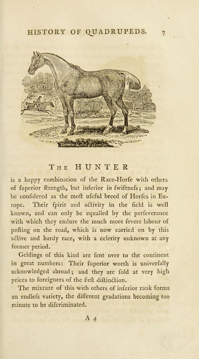 The HUN T E R is a happy combination of the Race-Horfe with others of fuperior flrength, but inferior in fwiftnefs; and may be confidered as the moil ufeful breed of Horfes in Eu- rope. Their fpirit and activity in the field is well known, and can only be equalled by the perfeverance with which they endure the much more fevere labour of polling on the road, which is now carried on by this active and hardy race, with a celerity unknown at any former period. Geldings of this kind are fent over to the continent in great numbers: Their fuperior worth is univerfally acknowledged abroad-, and they are fold at very high prices to foreigners of the firfl diftin£tion. The mixture of this with others of inferior rank forms an endlefs variety, the different gradations becoming too minute to be difcriminated.