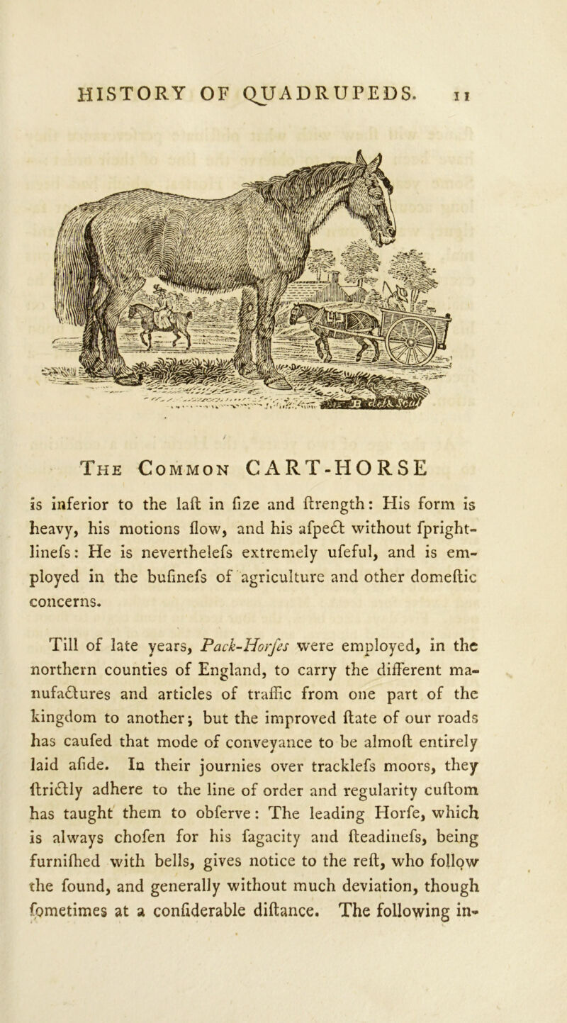 The Common CART-HORSE is inferior to the laft in fize and ftrength: His form is heavy, his motions flow, and his afpe£f without fpright- linefs: He is neverthelefs extremely ufeful, and is em- ployed in the bufinefs of agriculture and other domeftic concerns. Till of late years, Pack-Horfes were employed, in the northern counties of England, to carry the different ma- nufactures and articles of traffic from one part of the kingdom to another j but the improved (late of our roads has caufed that mode of conveyance to be almofl entirely laid afide. In their journies over tracklefs moors, they llri£tly adhere to the line of order and regularity cuftom has taught them to obferve: The leading Horfe, which is always chofen for his fagacity and fteadinefs, being furnifhed with bells, gives notice to the reft, who follow the found, and generally without much deviation, though fometimes at a conftderable diftance. The following in-