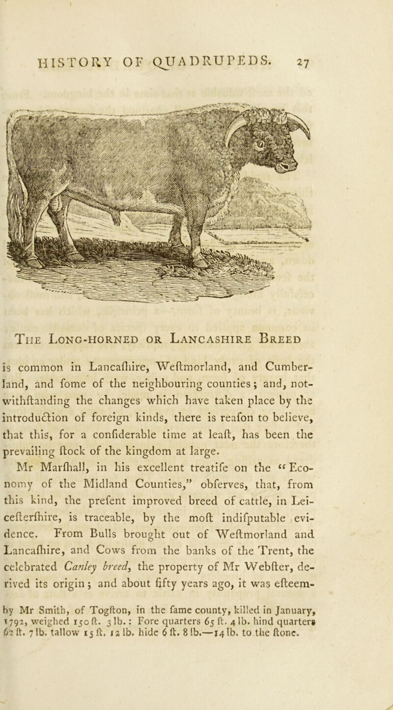 The Long-horned or Lancashire Breed is common in Lancafliire, Wedmorland, and Cumber- land, and fome of the neighbouring counties ; and, not- withftanding the changes which have taken place by the introduction of foreign kinds, there is reafon to believe, that this, for a confiderable time at lead, has been the prevailing dock of the kingdom at large. Mr Marfhall, in his excellent treatife on the (<Eco- nomy of the Midland Counties,” obferves, that, from this kind, the prefent improved breed of cattle, in Lei- cederfhire, is traceable, by the mod indifputable evi- dence. From Bulls brought out of Wedmorland and Lancafhire, and Cows from the banks of the Trent, the celebrated Canley breed, the property of Mr Webder, de- rived its origin; and about fifty years ago, it was edeem- by Mr Smith, of Togfton, in the fame county, killed in January, T792, weighed 150(1. 31b.: Fore quarters 65 ft. 4 lb. hind quarter# (j2 ft. 7 lb. tallow 15 ft. 12 lb. hide 6 ft. 8 lb.—141b. to the (tone.