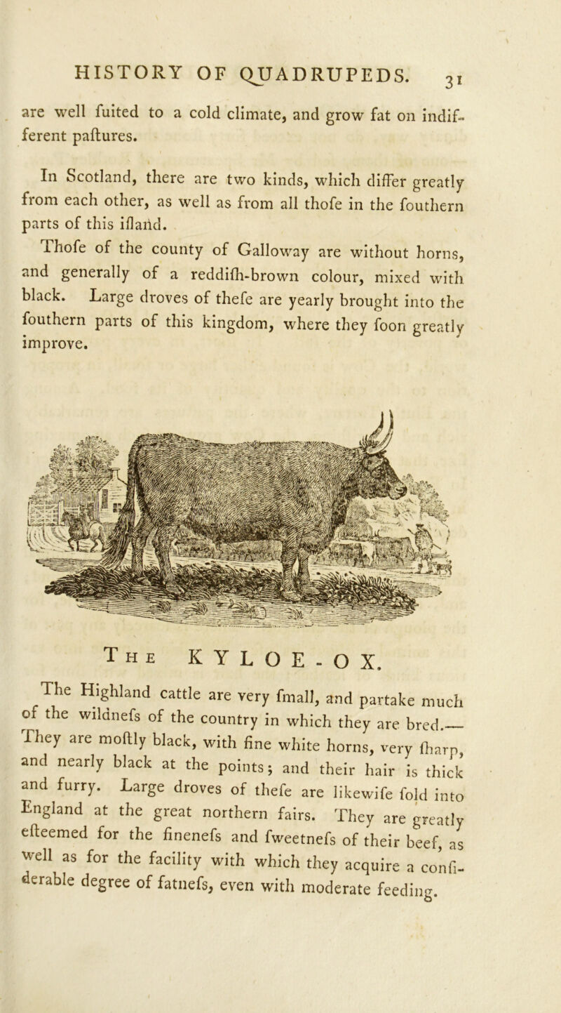 are welt fuited to a cold climate, and grow fat on indif- ferent paftures. In Scotland, there are two kinds, which differ greatly from each other, as wrell as from all thofe in the fouthern parts of this iflaiid. Thofe of the county of Galloway are without horns, and generally of a reddifh-brown colour, mixed with black. Large droves of thefe are yearly brought into the fouthern parts of this kingdom, where they foon greatly improve. The K Y L O E ■ O I, The Highland cattle are very fmall, and partake much of the wilanefs of the country in which they are bred. They are moftly black, with fine white horns, very (harp, and nearly black at the points; and their hair is thick and furry. Large droves of thefe are likewife fold into England at the great northern fairs. They are greatly efteemed for the finenefs and fweetnefs of their beef, as well as for the facility with which they acquire a confi- derable degree of fatnefs, even with moderate feeding.