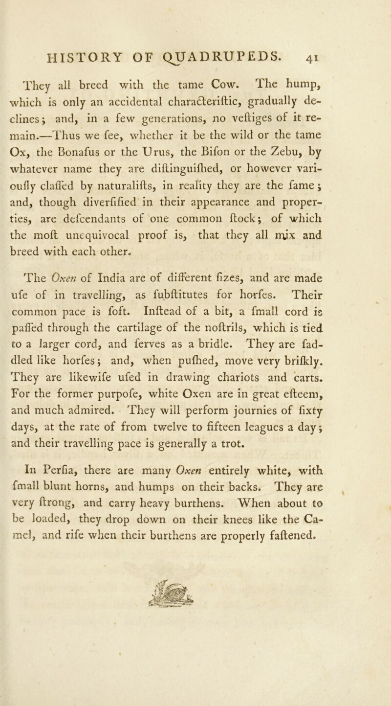 They all breed with the tame Cow. The hump, which is only an accidental charadteriftic, gradually de- clines ; and, in a few generations, no veftiges of it re- main.—Thus we fee, whether it be the wild or the tame Ox, the Bonafus or the Urus, the Bifon or the Zebu, by whatever name they are diftinguifhed, or however vari- oufly clafled by naturalifts, in reality they are the fame ; and, though diverfified in their appearance and proper- ties, are defcendants of one common flock; of which the moil unequivocal proof is, that they all mix and breed with each other. The Oxen of India are of different fizes, and are made ufe of in travelling, as fubflitutes for horfes. Their common pace is foft. Inftead of a bit, a fmall cord is paffed through the cartilage of the noftrils, which is tied to a larger cord, and ferves as a bridle. They are fad- died like horfes; and, when pufhed, move very brifkly. They are likewife ufed in drawing chariots and carts. For the former purpofe, white Oxen are in great efleem, and much admired. They will perform journies of fixty days, at the rate of from twelve to fifteen leagues a day; and their travelling pace is generally a trot. In Perfia, there are many Oxen entirely white, with fmall blunt horns, and humps on their backs. They are very ftrong, and carry heavy burthens. When about to be loaded, they drop down on their knees like the Ca- mel, and rife when their burthens are properly fattened. 1