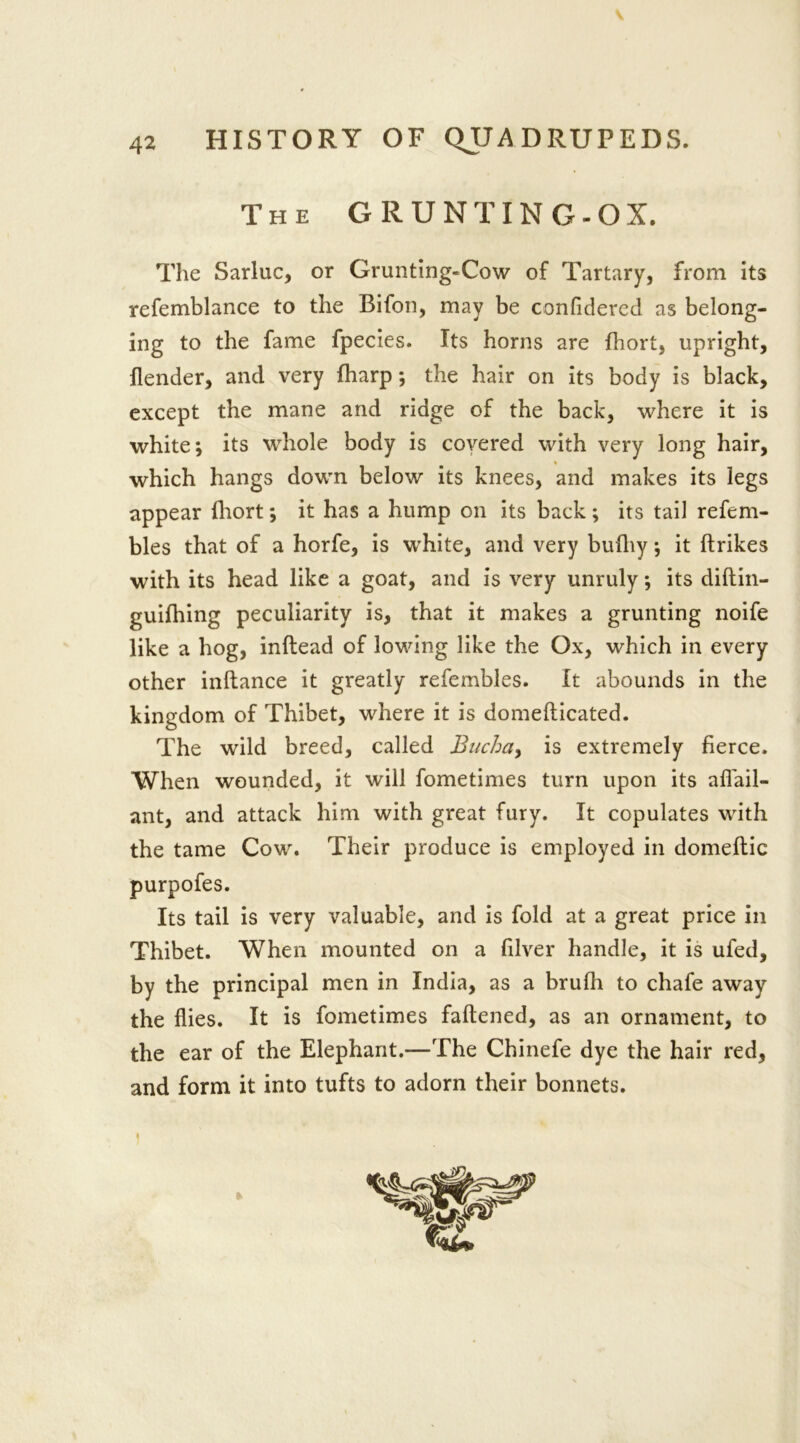 The GRUNTING-OX. The Sarluc, or Grunting-Cow of Tartary, from its refemblance to the Bifon, may be confidered as belong- ing to the fame fpecies. Its horns are fhort, upright, {lender, and very {harp; the hair on its body is black, except the mane and ridge of the back, where it is white; its whole body is covered with very long hair, which hangs down below its knees, and makes its legs appear fhort; it has a hump on its back ; its tail refem- bles that of a horfe, is white, and very bufhy; it ftrikes with its head like a goat, and is very unruly; its diftin- guifhing peculiarity is, that it makes a grunting noife like a hog, inftead of lowing like the Ox, which in every other inftance it greatly refembles. It abounds in the kingdom of Thibet, where it is domefticated. The wild breed, called Bucha, is extremely fierce. When wounded, it will fometimes turn upon its afiail- ant, and attack him with great fury. It copulates with the tame Cow. Their produce is employed in domeftic purpofes. Its tail is very valuable, and is fold at a great price in Thibet. When mounted on a filver handle, it is ufed, by the principal men in India, as a brufh to chafe away the flies. It is fometimes faftened, as an ornament, to the ear of the Elephant.—The Chinefe dye the hair red, and form it into tufts to adorn their bonnets.