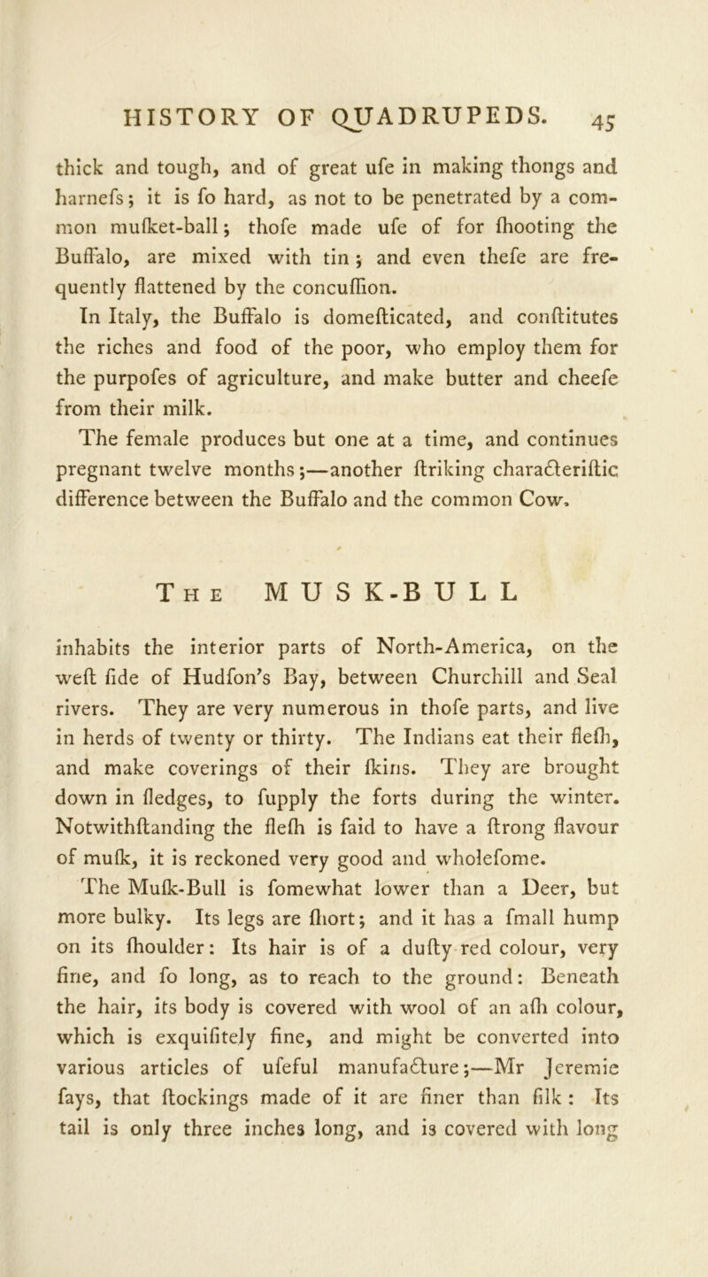 thick and tough, and of great ufe in making thongs and harnefs; it is fo hard, as not to be penetrated by a com- mon mufket-ball; thofe made ufe of for (hooting the Buffalo, are mixed with tin ; and even thefe are fre- quently flattened by the concuffion. In Italy, the Buffalo is domefticated, and conftitutes the riches and food of the poor, who employ them for the purpofes of agriculture, and make butter and cheefe from their milk. The female produces but one at a time, and continues pregnant twelve months;—another ftriking charadleriftic difference between the Buffalo and the common Cow. The M U S K-B U L L inhabits the interior parts of North-America, on the weft fide of Hudfon’s Bay, between Churchill and Seal rivers. They are very numerous in thofe parts, and live in herds of twenty or thirty. The Indians eat their flefh, and make coverings of their (kins. They are brought down in fledges, to fupply the forts during the winter. Notwithflanding the flefh is faid to have a ftrong flavour of mufk, it is reckoned very good and wholefome. The Mufk-Bull is fomewhat lower than a Deer, but more bulky. Its legs are fliort; and it has a fmall hump on its fhoulder: Its hair is of a dufty red colour, very fine, and fo long, as to reach to the ground: Beneath the hair, its body is covered with wool of an afli colour, which is exquifitely fine, and might be converted into various articles of ufeful manufacture;—Mr Jeremie fays, that (lockings made of it are finer than filk : Its tail is only three inches long, and is covered with long