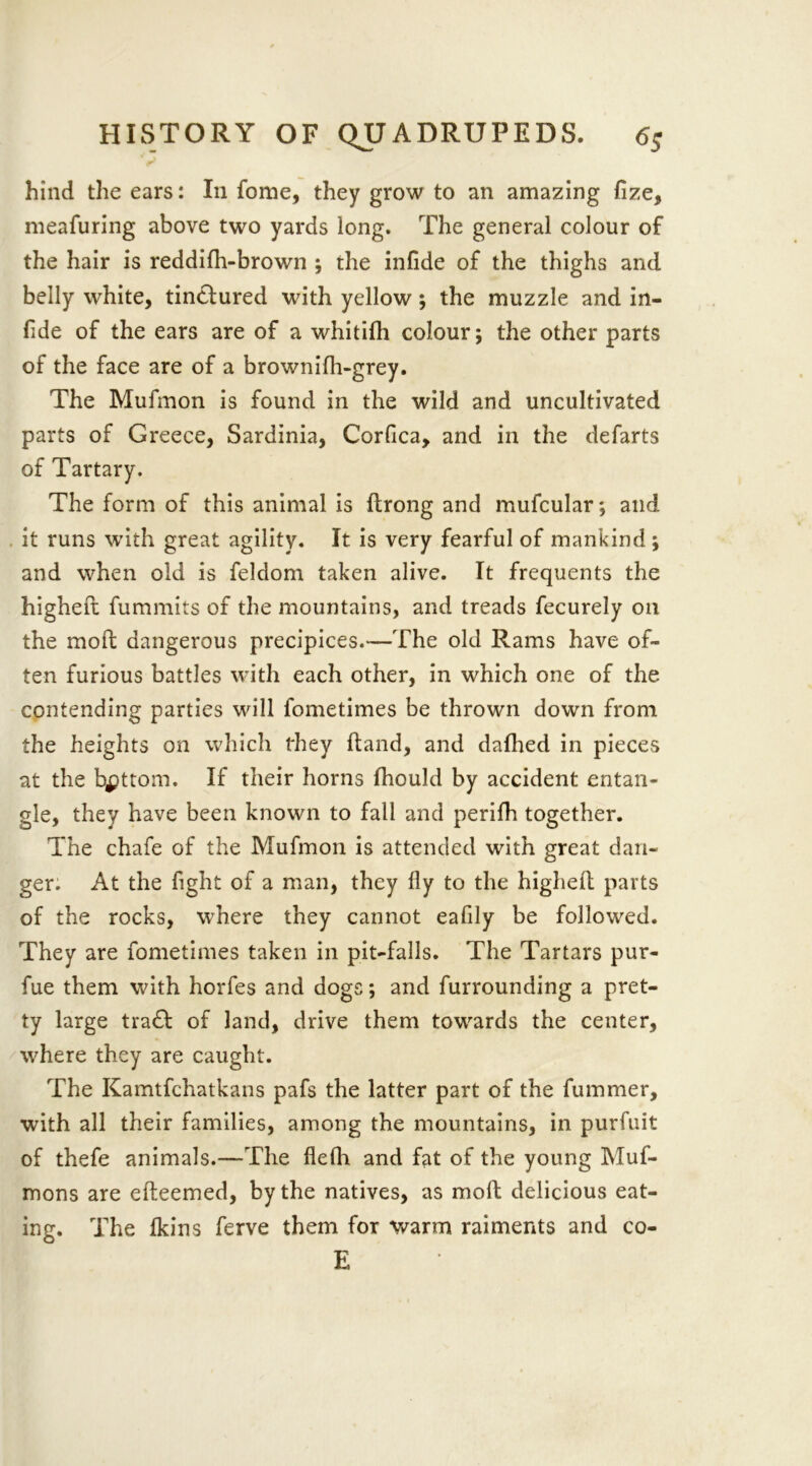 hind the ears: In feme, they grow to an amazing fize, meafuring above two yards long. The general colour of the hair is reddifh-brown ; the infide of the thighs and belly white, tinctured with yellow; the muzzle and in- ftde of the ears are of a whitifh colour; the other parts of the face are of a brownifh-grey. The Mufmon is found in the wild and uncultivated parts of Greece, Sardinia, Corfica, and in the defarts of Tartary. The form of this animal is ftrong and mufcular; and . it runs with great agility. It is very fearful of mankind; and when old is feldom taken alive. It frequents the higheft fummits of the mountains, and treads fecurely on the mod dangerous precipices.—The old Rams have of- ten furious battles with each other, in which one of the contending parties will fometimes be thrown down from the heights on which they Hand, and dafhed in pieces at the bottom. If their horns Ihould by accident entan- gle, they have been known to fall and perifh together. The chafe of the Mufmon is attended with great dan- ger. At the fight of a man, they fly to the higheft parts of the rocks, where they cannot eafily be followed. They are fometimes taken in pit-falls. The Tartars pur- fue them with horfes and dogs; and furrounding a pret- ty large tra£I of land, drive them towards the center, where they are caught. The Kamtfchatkans pafs the latter part of the fummer, with all their families, among the mountains, in purfuit of thefe animals.—The flefh and fat of the young Muf- mons are efteemed, by the natives, as moft delicious eat- ing. The Ikins ferve them for warm raiments and co- E