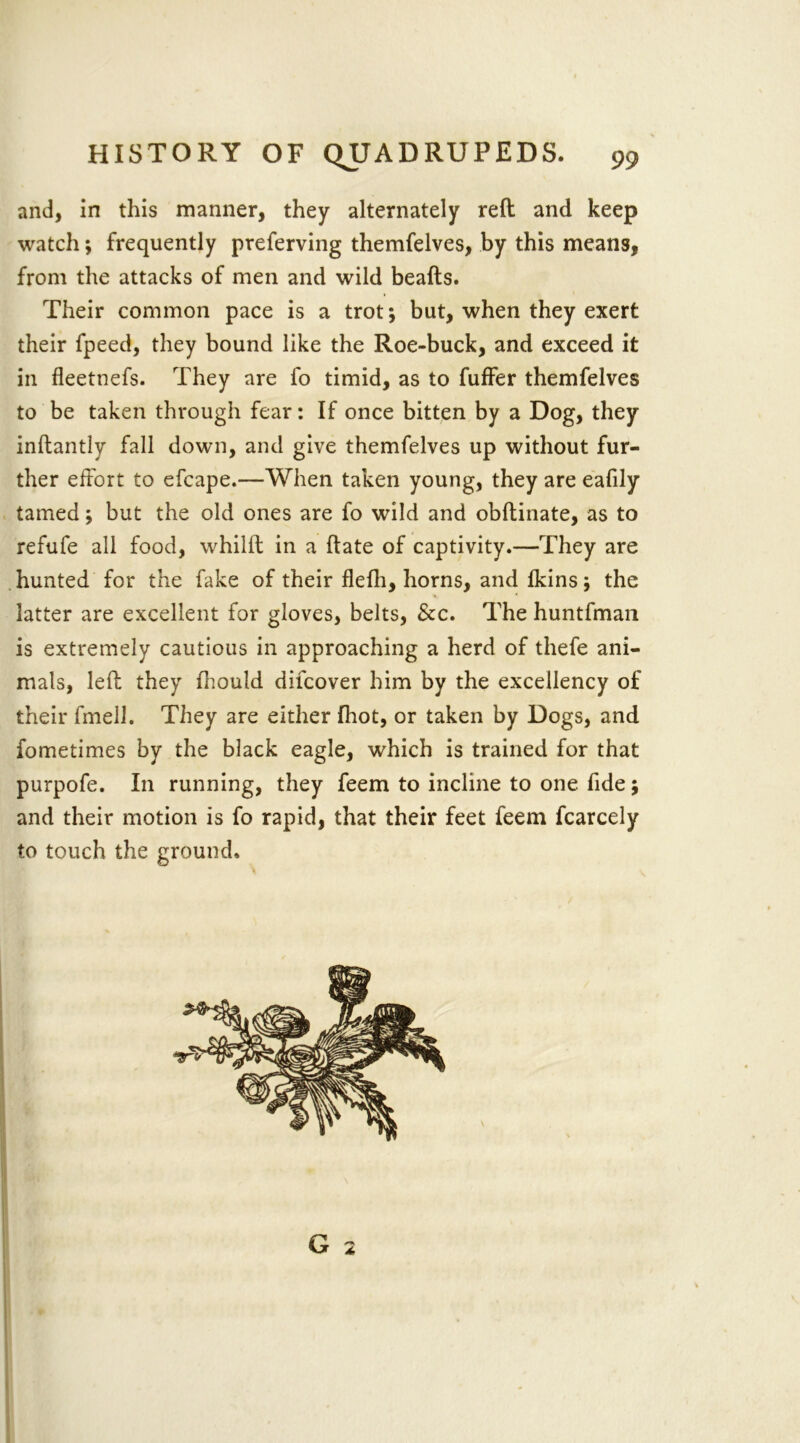 and, in this manner, they alternately reft and keep watch; frequently preferving themfelves, by this means, from the attacks of men and wild beads. Their common pace is a trot*, but, when they exert their fpeed, they bound like the Roe-buck, and exceed it in fleetnefs. They are fo timid, as to fuffer themfelves to be taken through fear: If once bitten by a Dog, they inftantly fall down, and give themfelves up without fur- ther effort to efcape.—When taken young, they are eafily tamed j but the old ones are fo wild and obftinate, as to refufe all food, whilft in a ftate of captivity.—They are hunted for the fake of their flefh, horns, and Ikins; the latter are excellent for gloves, belts, &c. The huntfman is extremely cautious in approaching a herd of thefe ani- mals, left they fhould difcover him by the excellency of their fmell. They are either fhot, or taken by Dogs, and fometimes by the black eagle, which is trained for that purpofe. In running, they feem to incline to one fide; and their motion is fo rapid, that their feet feem fcarcely to touch the ground.