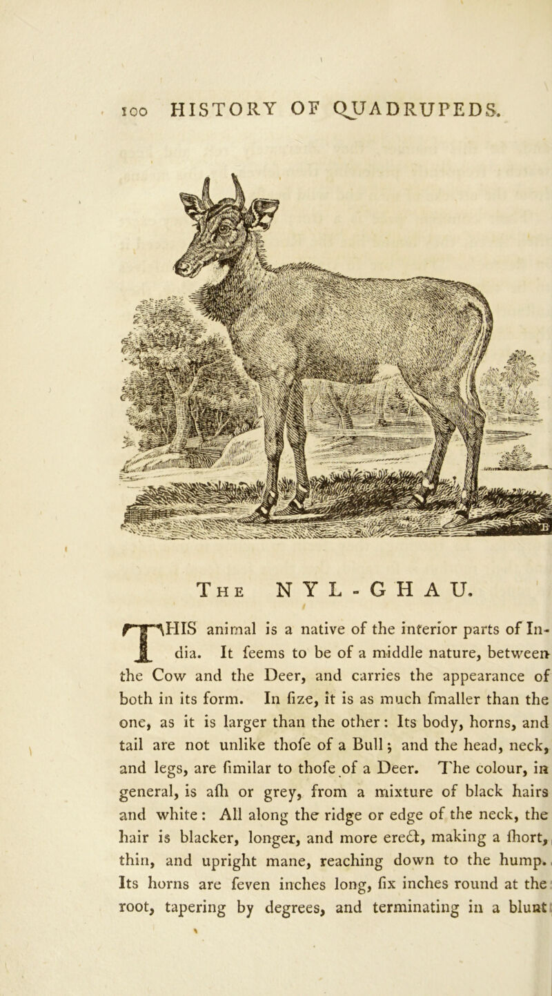 The NYL-GHAU. THIS animal is a native of the interior parts of In- dia. It feems to be of a middle nature, between the Cow and the Deer, and carries the appearance of both in its form. In fize, it is as much fmaller than the one, as it is larger than the other: Its body, horns, and tail are not unlike thofe of a Bull; and the head, neck, and legs, are fimilar to thofe of a Deer. The colour, in general, is afti or grey, from a mixture of black hairs and white : All along the ridge or edge of the neck, the hair is blacker, longer, and more eredt, making a lhort, thin, and upright mane, reaching down to the hump. Its horns are feven inches long, fix inches round at the root, tapering by degrees, and terminating in a blunt