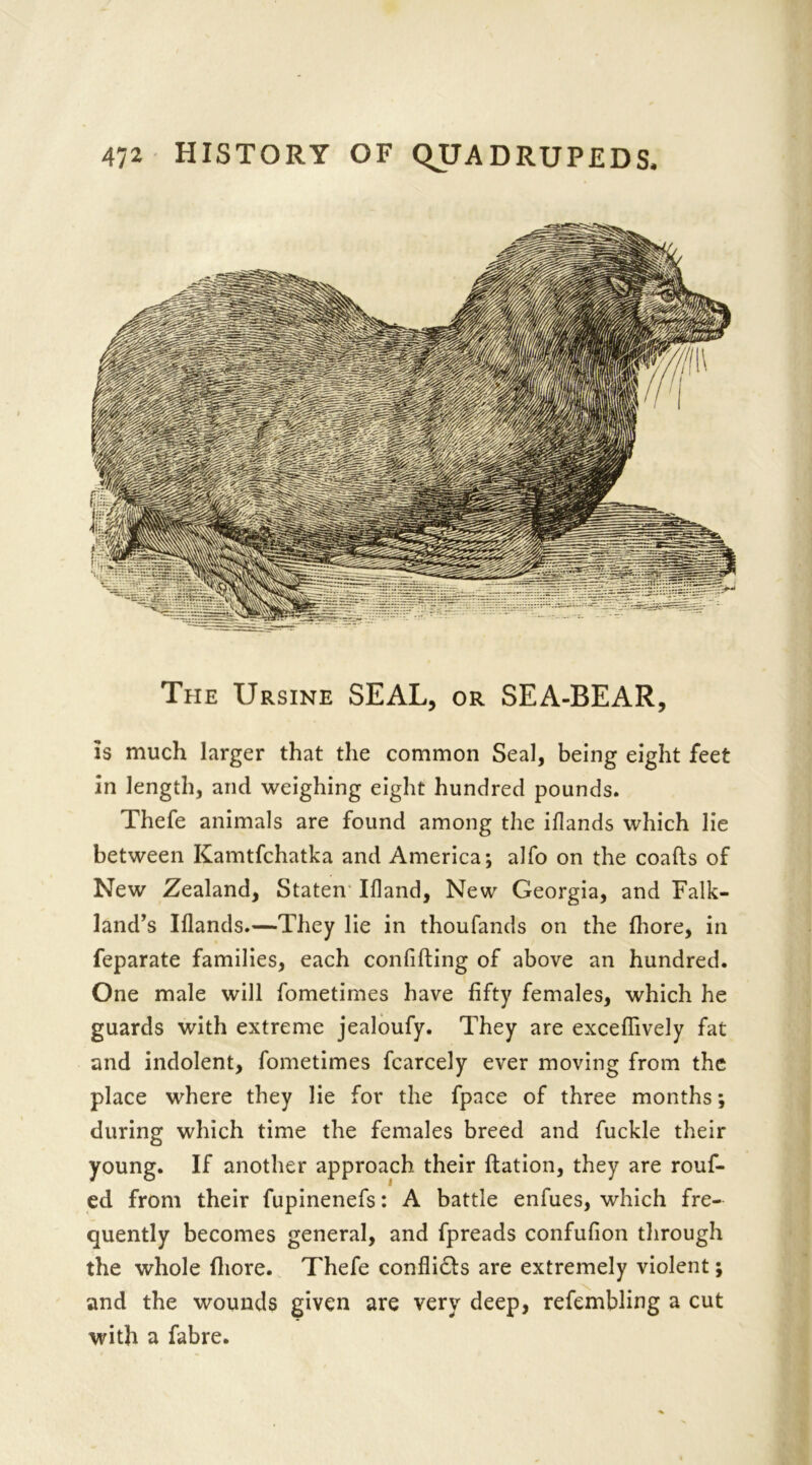 The Ursine SEAL, or SEA-BEAR, is much larger that the common Seal, being eight feet in length, and weighing eight hundred pounds. Thefe animals are found among the iflands which lie between Kamtfchatka and America; alfo on the coafts of New Zealand, Staten Ifland, New Georgia, and Falk- land’s Iflands.—They lie in thoufands on the fhore, in feparate families, each confifting of above an hundred. One male will fometimes have fifty females, which he guards with extreme jealoufy. They are exceflively fat and indolent, fometimes fcarcely ever moving from the place where they lie for the fpace of three months; during which time the females breed and fuckle their young. If another approach their ftation, they are rouf- ed from their fupinenefs: A battle enfues, which fre- quently becomes general, and fpreads confufion through the whole fliore. Thefe confli<Ts are extremely violent; and the wounds given are very deep, refembling a cut with a fabre.