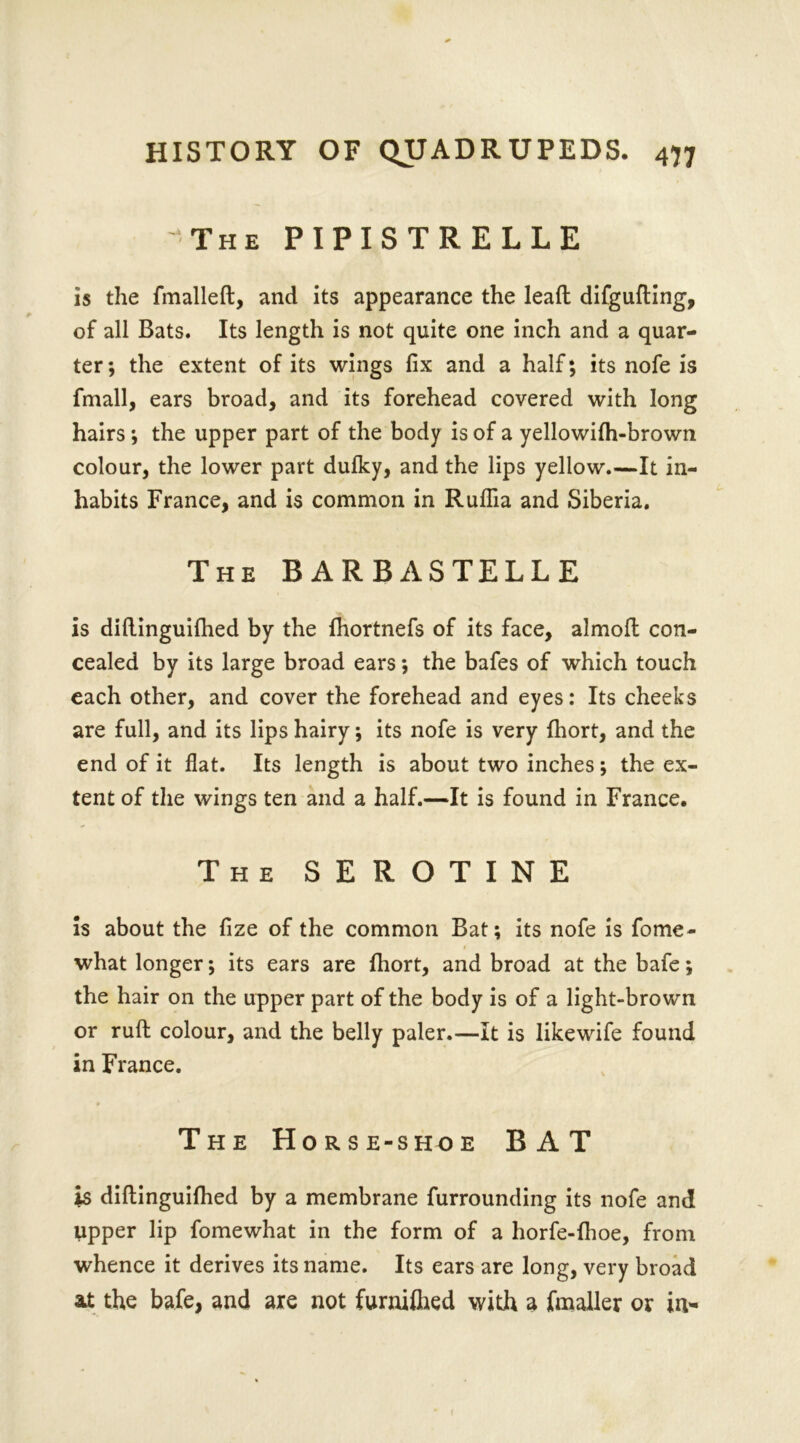 'The PIPISTRELLE is the fmallefl, and its appearance the lead; difgufting, of all Bats. Its length is not quite one inch and a quar- ter; the extent of its wings fix and a half; its nofe is fmall, ears broad, and its forehead covered with long hairs; the upper part of the body is of a yellowifh-brown colour, the lower part dulky, and the lips yellow.—It in- habits France, and is common in Ruflia and Siberia. The BARBASTELLE is diftinguifhed by the fhortnefs of its face, almofl con- cealed by its large broad ears; the bafes of which touch each other, and cover the forehead and eyes: Its cheeks are full, and its lips hairy; its nofe is very fhort, and the end of it flat. Its length is about two inches; the ex- tent of the wings ten and a half.—It is found in France. The SEROTINE is about the fize of the common Bat; its nofe is fome- what longer; its ears are fhort, and broad at the bafe; the hair on the upper part of the body is of a light-brown or ruft colour, and the belly paler.—It is likewife found in France. The Horse-shoe BAT is diftinguiflied by a membrane furrounding its nofe and upper lip fomewhat in the form of a horfe-fhoe, from whence it derives its name. Its ears are long, very broad at the bafe, and are not furnifhed with a fmaller or in-