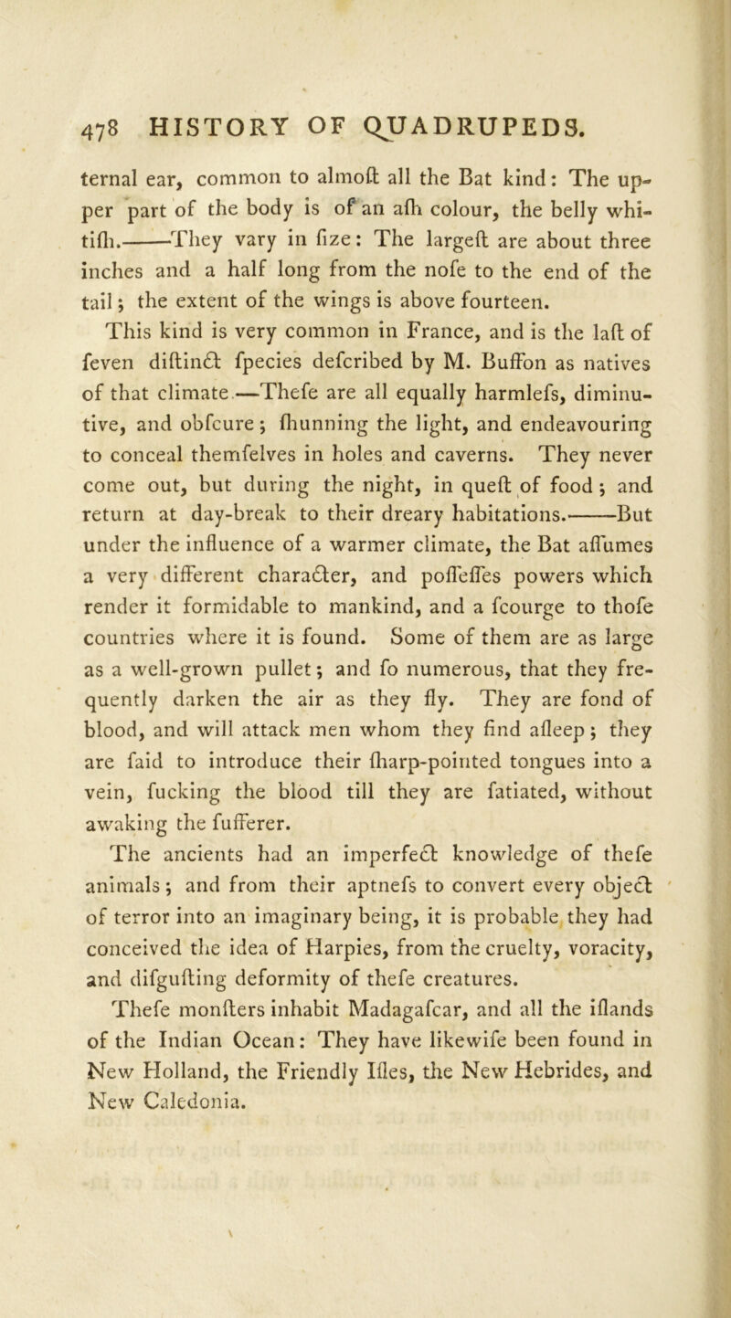 ternal ear, common to almoft all the Bat kind: The up- per part of the body is of an afh colour, the belly whi- tifli. They vary in fize: The larged are about three inches and a half long from the nofe to the end of the tail; the extent of the wings is above fourteen. This kind is very common in France, and is the lad of feven diftin£t fpecies defcribed by M. Buffon as natives of that climate—Thefe are all equally harmlefs, diminu- tive, and obfcure; fhunning the light, and endeavouring to conceal themfelves in holes and caverns. They never come out, but during the night, in qued of food ; and return at day-break to their dreary habitations. -But under the influence of a warmer climate, the Bat aflumes a very different charadter, and poflefies powers which render it formidable to mankind, and a fcourge to thofe countries where it is found. Some of them are as large as a well-grown pullet; and fo numerous, that they fre- quently darken the air as they fly. They are fond of blood, and will attack men whom they find afleep; they are faid to introduce their {harp-pointed tongues into a vein, fucking the blood till they are fatiated, without awaking the fufferer. The ancients had an imperfect knowledge of thefe animals; and from their aptnefs to convert every object of terror into an imaginary being, it is probable they had conceived the idea of Harpies, from the cruelty, voracity, and difgufting deformity of thefe creatures. Thefe monlters inhabit Madagafcar, and all the iflands of the Indian Ocean: They have likewife been found in New Holland, the Friendly Hies, the New Hebrides, and New Caledonia.