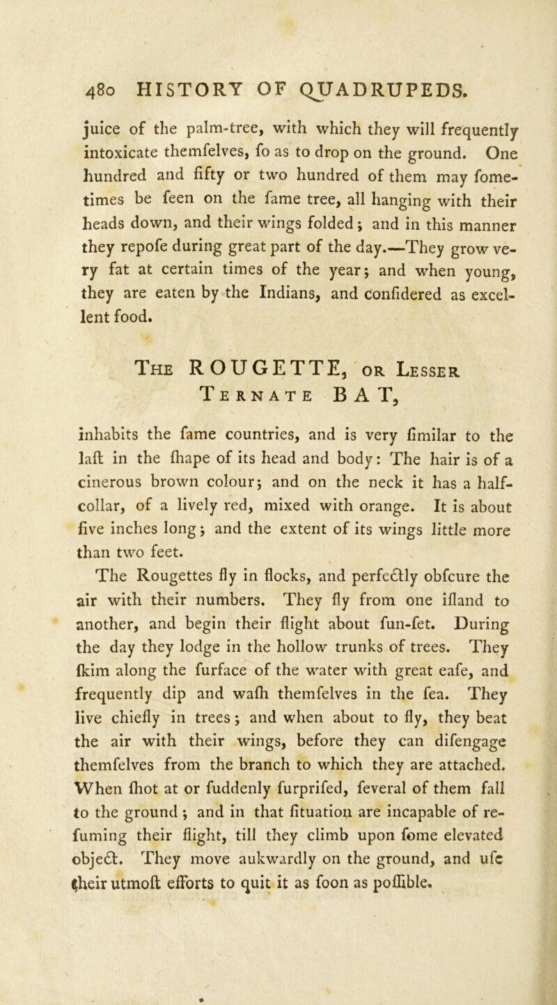 juice of the palm-tree, with which they will frequently intoxicate themfelves, fo as to drop on the ground. One hundred and fifty or two hundred of them may fome- times be feen on the fame tree, all hanging with their heads down, and their wings folded; and in this manner they repofe during great part of the day.—They grow ve- ry fat at certain times of the year; and when young, they are eaten by the Indians, and confidered as excel- lent food. The ROUGETTE, or Lesser Ternate BAT, inhabits the fame countries, and is very fimilar to the lall in the fhape of its head and body: The hair is of a cinerous brown colour; and on the neck it has a half- collar, of a lively red, mixed with orange. It is about five inches long; and the extent of its wings little more than two feet. The Rougettes fly in flocks, and perfectly obfeure the air with their numbers. They fly from one ifland to another, and begin their flight about fun-fet. During the day they lodge in the hollow trunks of trees. They Ikim along the furface of the water with great eafe, and frequently dip and wafh themfelves in the fea. They live chiefly in trees; and when about to fly, they beat the air with their wings, before they can difengage themfelves from the branch to which they are attached. When fhot at or fuddenly furprifed, feveral of them fall to the ground ; and in that fituation are incapable of re- fuming their flight, till they climb upon fome elevated object. They move aukwardly on the ground, and ufc ^heirutmoft efforts to quit it as foon as polfible.
