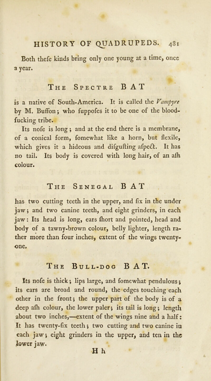 Both thefe kinds bring only one young at a time, once a year. The Spectre BAT is a native of South-America. It is called the Vampyre by M. Buffon ; who fuppofes it to be one of the blood- fucking tribe. Its nofe is long; and at the end there is a membrane, of a conical form, fomewhat like a horn, but flexile, which gives it a hideous and difgufting afpe£fc. It has no tail. Its body is covered with long hair, of an afh colour. The Senegal B AT has two cutting teeth in the upper, and fix in the under jaw; and two canine teeth, and eight grinders, in each jaw: Its head is long, ears fhort and pointed, head and body of a tawny-brown colour, belly lighter, length ra- ther more than four inches, extent of the wings twenty- one. The Bull-dog BAT. Its nofe is thick; lips large, and fomewhat pendulous ; its ears are broad and round, the edges touching each other in the front; the upper part of the body is of a deep afh colour, the lower paler; its tail is long; length about two inches,—extent of the wings nine and a half: It has twenty-fix teeth; two cutting and two canine in each jaw; eight grinders in the upper, and ten in the lower jaw. H h