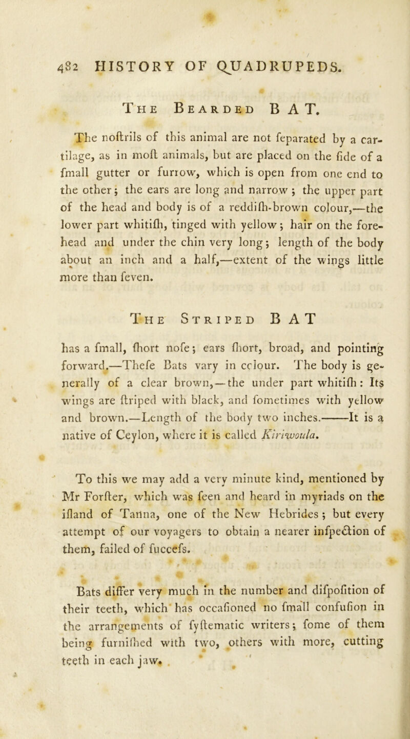 The Bearded BAT. The noftrils cf this animal are not feparated by a car- tilage, as in mod animals, but are placed on the fide of a fmall gutter or furrow, which is open from one end to the other; the ears are long and narrow ; the upper part of the head and body is of a reddifh-brown colour,—the lower part whitifh, tinged with yellow; hair on the fore- head and under the chin very long; length of the body about an inch and a half,—extent of the wings little more than feven. The Striped BAT has a fmall, fhort nofe; ears fhort, broad, and pointing forward.—Thefe Bats vary in colour. The body is ge- nerally of a clear brown,— the under part whitifh : Its wings are ftriped with black, and fometimes with yellow and brown.—Length of the body two inches. It is a native of Ceylon, where it is called Kirhvoula, To this we may add a very minute kind, mentioned by Mr Forfter, which was feen and heard in myriads on the ifland of Tartna, one of the New Hebrides ; but every attempt of our voyagers to obtain a nearer infpe£lion of them, failed of fuccefs. Bats differ very much in the number and difpofition of their teeth, which has occafioned no fmall confufion in the arrangements of fyftematic writers; fome of them being furnifhed with two, others with more, cutting teeth in each jaw. X