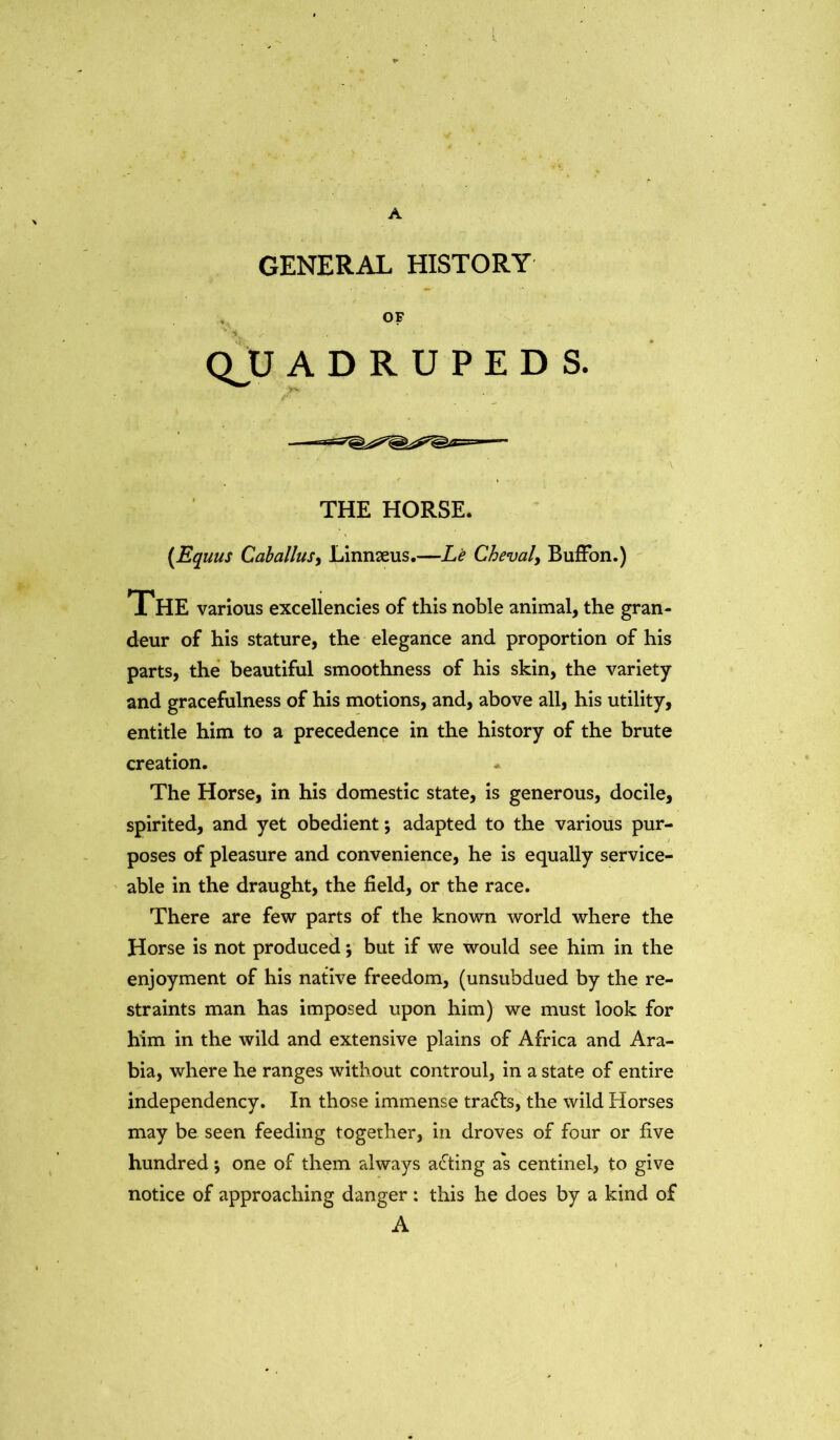 GENERAL HISTORY OF Q^U ADRUPEDS, THE HORSE. {Equus Caballusy Linnseus.—Le Chevaly BufFon.) The various excellencies of this noble animal, the gran- deur of his stature, the elegance and proportion of his parts, the beautiful smoothness of his skin, the variety and gracefulness of his motions, and, above all, his utility, entitle him to a precedence in the history of the brute creation. The Horse, in his domestic state, is generous, docile, spirited, and yet obedient; adapted to the various pur- poses of pleasure and convenience, he is equally service- able in the draught, the field, or the race. There are few parts of the known world where the Horse is not produced; but if we would see him in the enjoyment of his native freedom, (unsubdued by the re- straints man has imposed upon him) we must look for him in the wild and extensive plains of Africa and Ara- bia, where he ranges without controul, in a state of entire independency. In those immense trails, the wild Horses may be seen feeding together, in droves of four or five hundred; one of them always acting as centinel, to give notice of approaching danger : this he does by a kind of A