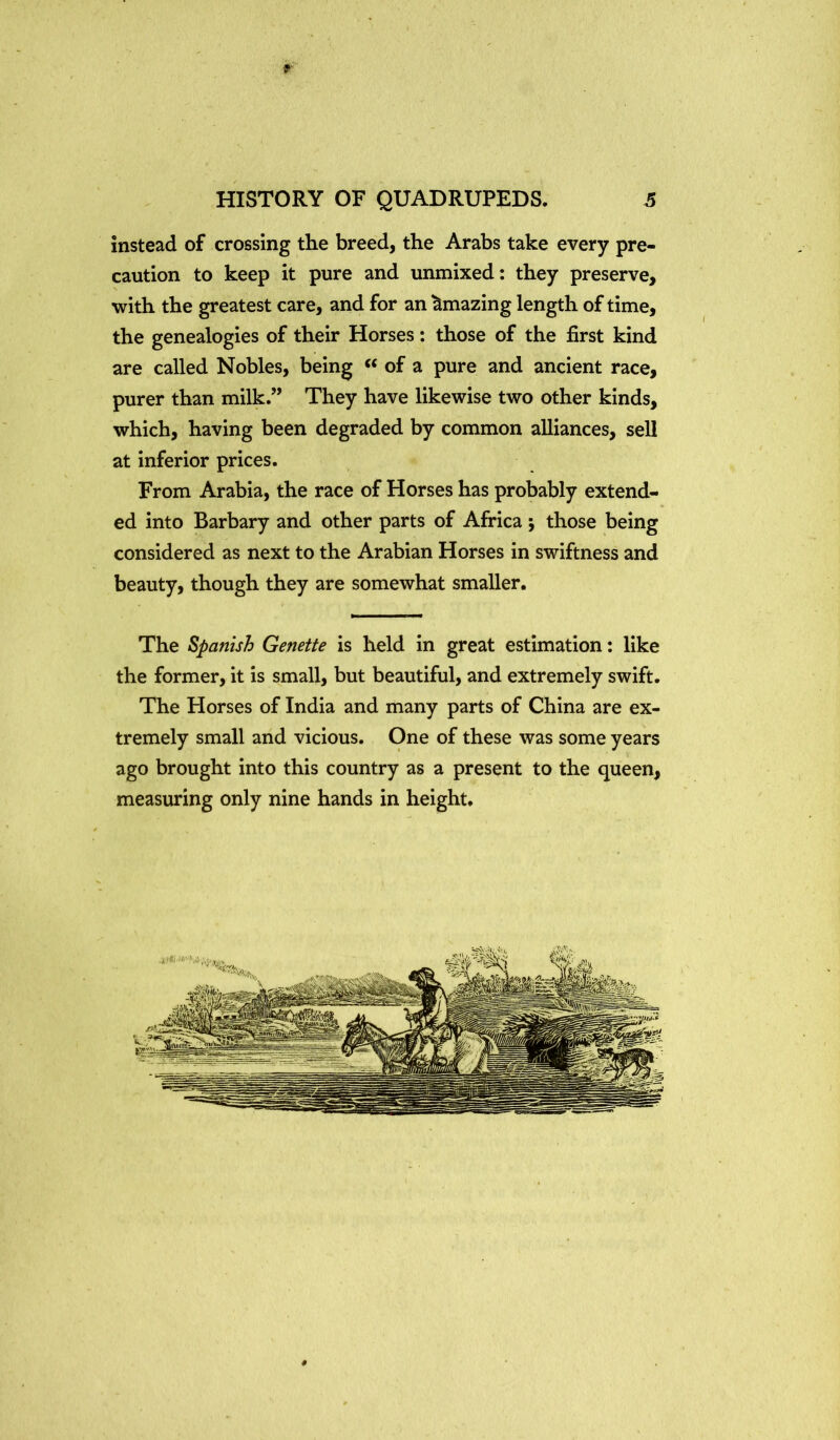 r HISTORY OF QUADRUPEDS. 5 instead of crossing the breed, the Arabs take every pre- caution to keep it pure and unmixed: they preserve, with the greatest care, and for an Amazing length of time, the genealogies of their Horses: those of the first kind are called Nobles, being ‘‘ of a pure and ancient race, purer than milk.” They have likewise two other kinds, which, having been degraded by common alliances, sell at inferior prices. From Arabia, the race of Horses has probably extend- ed into Barbary and other parts of Africa; those being considered as next to the Arabian Horses in swiftness and beauty, though they are somewhat smaller. The Spanish Genette is held in great estimation: like the former, it is small, but beautiful, and extremely swift. The Horses of India and many parts of China are ex- tremely small and vicious. One of these was some years ago brought into this country as a present to the queen, measuring only nine hands in height.