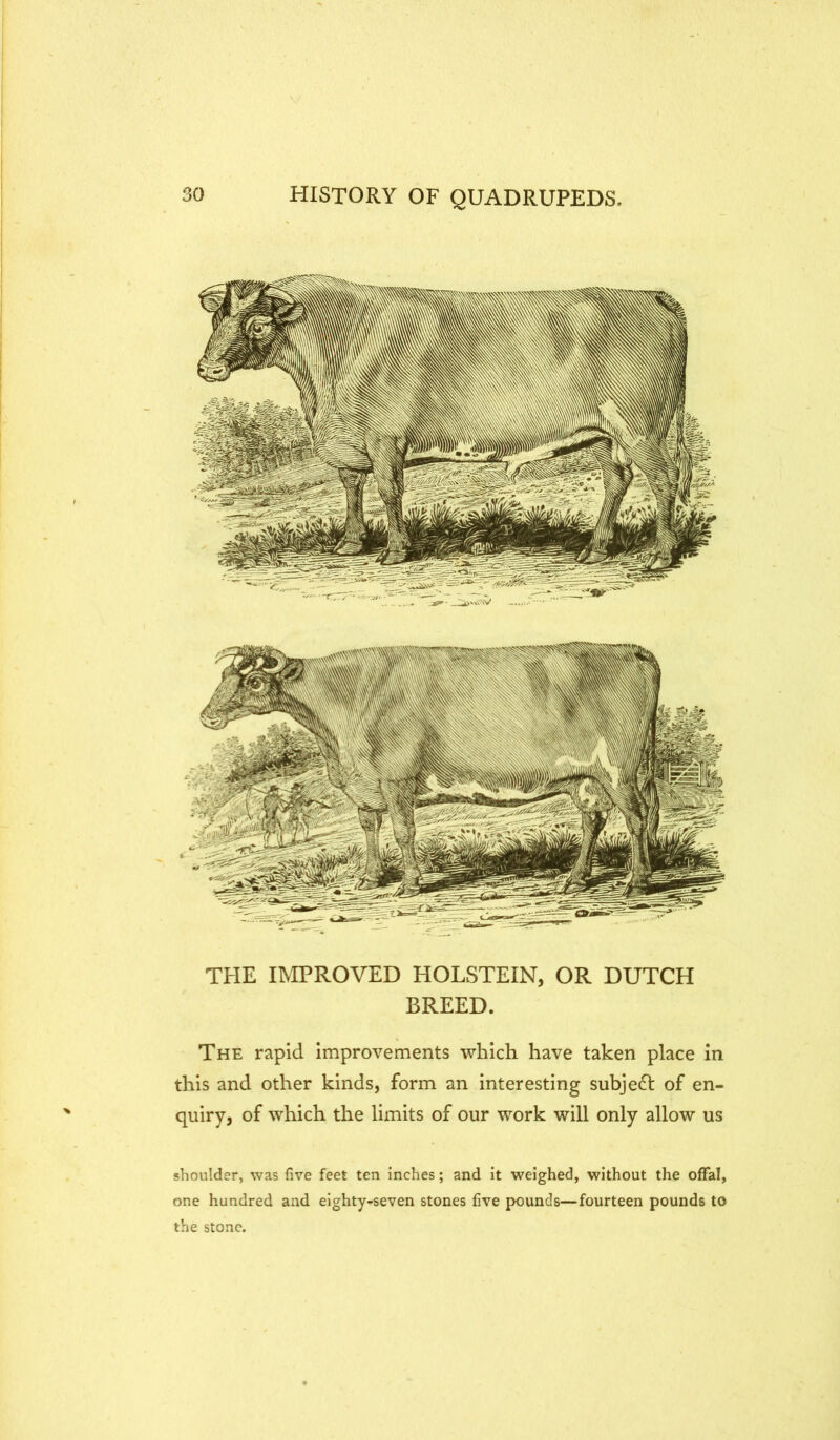 THE IMPROVED HOLSTEIN, OR DUTCH BREED. The rapid Improvements which have taken place in this and other kinds, form an interesting subject of en- quiry, of which the limits of our work will only allow us shoulder, was five feet ten inches; and it weighed, without the offal, one hundred and eighty-seven stones five pounds—fourteen pounds to the stone.