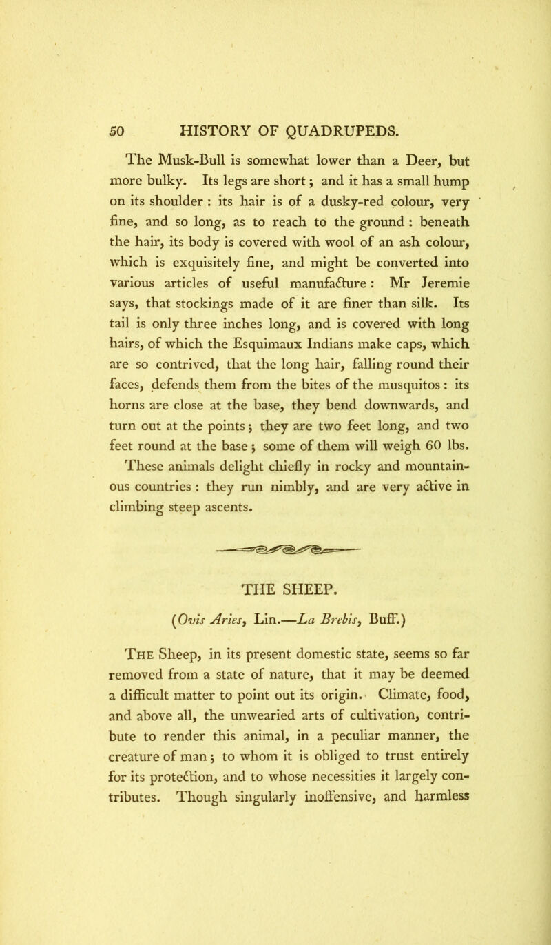 I The Musk-Bull is somewhat lower than a Deer, but more bulky. Its legs are short j and it has a small hump on its shoulder : its hair is of a dusky-red colour, very fine, and so long, as to reach to the ground: beneath the hair, its body is covered with wool of an ash colour, which is exquisitely fine, and might be converted into various articles of useful manufadhire: Mr Jeremie says, that stockings made of it are finer than silk. Its tail is only three inches long, and is covered with long hairs, of which the Esquimaux Indians make caps, which are so contrived, that the long hair, falling round their faces, defends them from the bites of the musquitos: its horns are close at the base, they bend downwards, and turn out at the points; they are two feet long, and two feet round at the base j some of them will weigh 60 lbs. These animals delight chiefly in rocky and mountain- ous countries : they run nimbly, and are very adlive in climbing steep ascents. THE SHEEP. [Ovis Aries^ Lin.—La Brebisy Buff.) The Sheep, in its present domestic state, seems so far removed from a state of nature, that it may be deemed a difficult matter to point out its origin.' Climate, food, and above all, the unwearied arts of cultivation, contri- bute to render this animal. In a peculiar manner, the creature of man *, to whom it is obliged to trust entirely for its protection, and to whose necessities it largely con- tributes. Though singularly inoffensive, and harmless