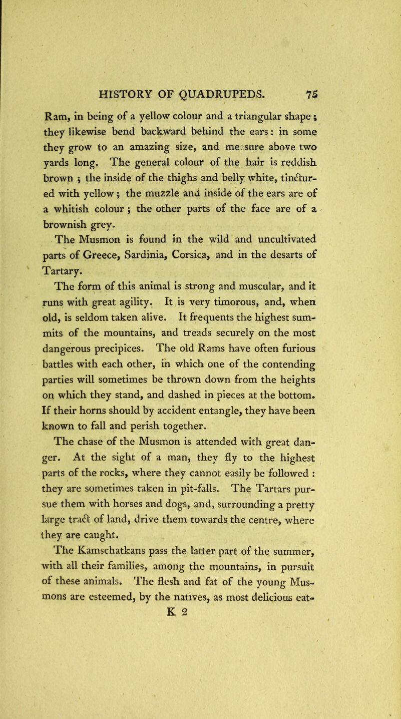 Ram, in being of a yellow colour and a triangular shape; they likewise bend backward behind the ears: in some? they grow to an amazing size, and measure above two yards long. The general colour of the hair is reddish brown ; the inside of the thighs and belly white, tinctur- ed with yellow; the muzzle and inside of the ears are of a whitish colour ; the other parts of the face are of a brownish grey. The Musmon is found in the wild and uncultivated parts of Greece, Sardinia, Corsica, and in the desarts of Tartary. The form of this animal is strong and muscular, and it runs with great agility. It is very timorous, and, when old, is seldom taken alive. It frequents the highest sum- mits of the mountains, and treads securely on the most dangerous precipices. The old Rams have often furious battles with each other, in which one of the contending parties will sometimes be thrown down from the heights on which they stand, and dashed in pieces at the bottom. If their horns should by accident entangle, they have been known to fall and perish together. The chase of the Musmon is attended with great dan- ger. At the sight of a man, they fly to the highest parts of the rocks, where they cannot easily be followed : they are sometimes taken in pit-falls. The Tartars pur- sue them with horses and dogs, and, surrounding a pretty large traCI of land, drive them towards the centre, where they are caught. The Kamschatkans pass the latter part of the summer, with all their families, among the mountains, in pursuit of these animals. The flesh and fat of the young Mus- mons are esteemed, by the natives, as most delicious eat- K 2