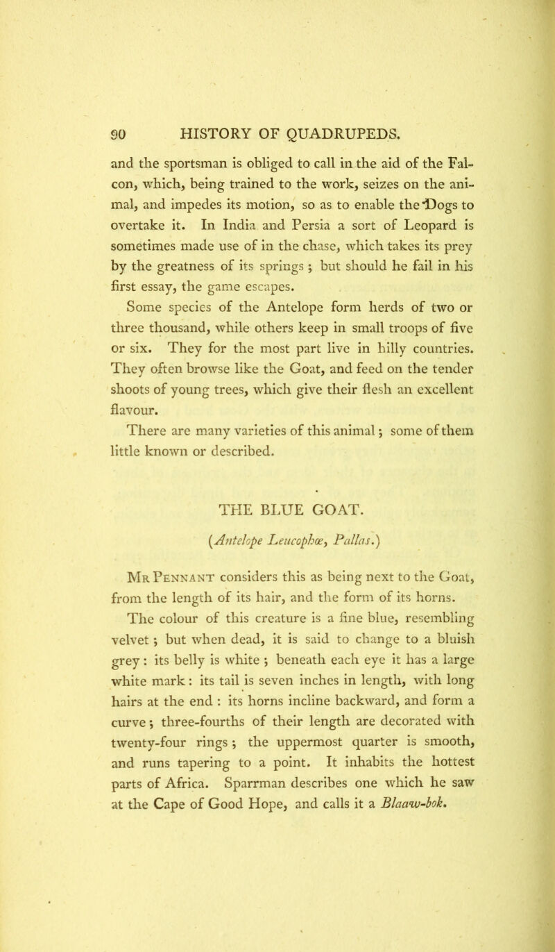 and tlie sportsman is obliged to call in the aid of the Fal- con, which, being trained to the work, seizes on the ani- mal, and impedes its motion,'^ so as to enable the T)ogs to overtake it. In India and Persia a sort of Leopard is sometimes made use of in the chase, which takes its prey by the greatness of its springs ; but should he fail in his first essay, the game escapes. Some species of the Antelope form herds of two or three thousand, while others keep in small troops of five or six. They for the most part live in hilly countries. They often browse like the Goat, and feed on the tender shoots of young trees, which give their flesh an excellent flavour. There are many varieties of this animal *, some of them little known or described. THE BLUE GOAT. {^Antelope Leiicophos, Pallas.) Mr Pennant considers this as being next to the Goat, from the length of its hair, and the form of its horns. The colour of this creature is a fine blue, resembling velvet *, but when dead, it is said to change to a bluish grey: its belly is white *, beneath each eye it has a large white mark: its tail is seven inches in length, with long hairs at the end : its horns incline backward, and form a curve j three-fourths of their length are decorated with twenty-four rings *, the uppermost quarter is smooth, and runs tapering to a point. It inhabits the hottest parts of Africa. Sparrman describes one which he saw at the Cape of Good Hope, and calls it a Blaaw~bok»