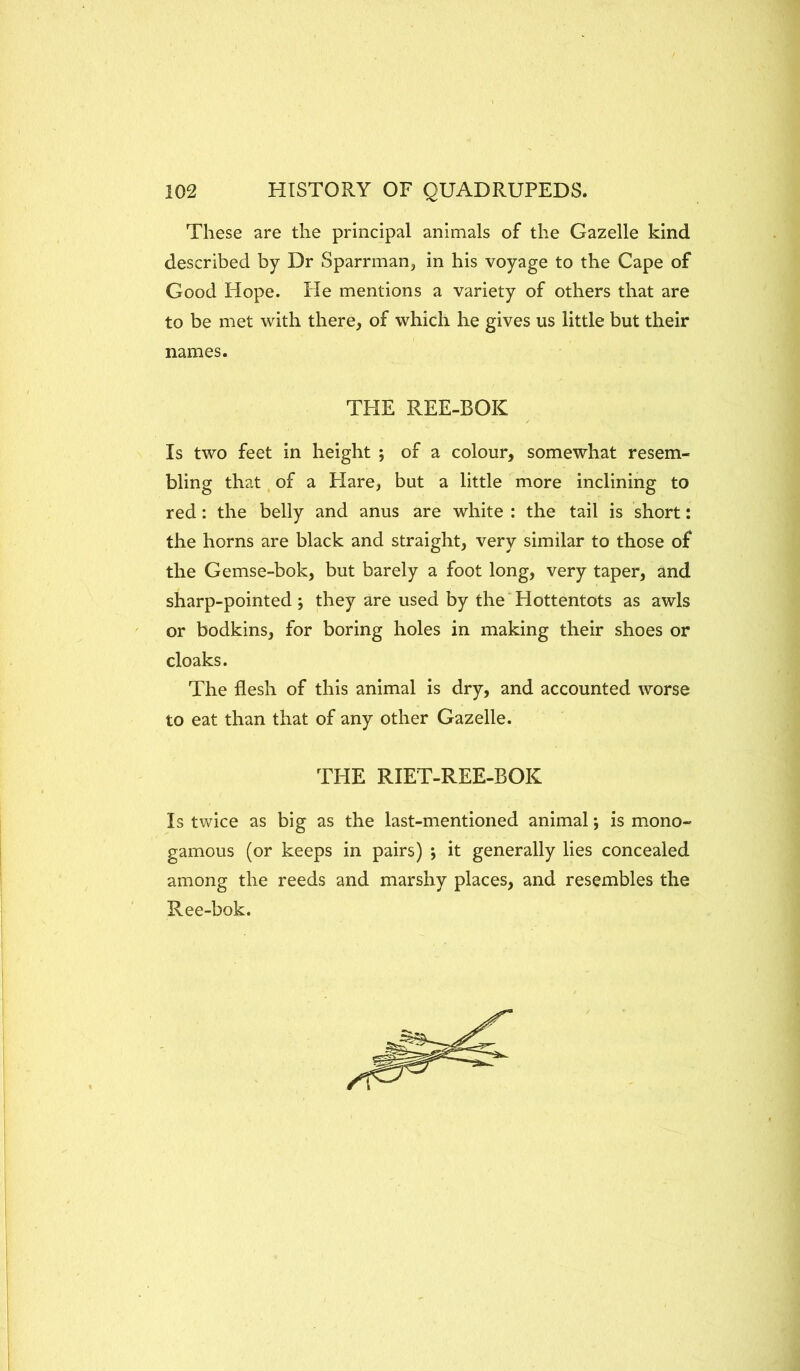 These are the principal animals of the Gazelle kind described by Dr Sparrman, in his voyage to the Cape of Good Hope. He mentions a variety of others that are to be met with there, of which he gives us little but their names. THE REE-BOK Is two feet in height ; of a colour, somewhat resem- bling that, of a Flare, but a little more inclining to red: the belly and anus are white : the tail is short: the horns are black and straight, very similar to those of the Gemse-bok, but barely a foot long, very taper, and sharp-pointed ; they are used by the Hottentots as awls or bodkins, for boring holes in making their shoes or cloaks. The flesh of this animal is dry, and accounted worse to eat than that of any other Gazelle. THE RIET-REE-BOK Is twice as big as the last-mentioned animal *, is mono- gamous (or keeps in pairs) ; it generally lies concealed among the reeds and marshy places, and resembles the Ree-bok.