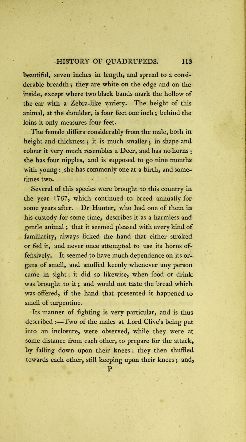 beautiful, seven inches in length, and spread to a consi- derable breadth; they are white on the edge and on the inside, except where tjvo black bands mark the hollow of the ear with a Zebra-like variety. The height of this animal, at the shoulder, is four feet one inch; behind the loins it only measures four feet. The female differs considerably from the male, both in height and thickness ; it is much smaller *, in shape and colour it very much resembles a Deer, and has no horns ; she has four nipples, and is supposed to go nine months with young; she has commonly one at a birth, and some- times two. Several of this species were brought to this country in the year 1767, which continued to breed annually for some years after. Dr Hunter, who had one of them in his custody for some time, describes it as a harmless and gentle animal; that it seemed pleased with every kind of familiarity, always licked the hand that either stroked or fed it, and never once attempted to use its horns of- fensively. It seemed to have much dependence on its or- gans of smell, and snuffed keenly whenever any person came in sight: it did so likewise, when food or drink was brought to it; and would not taste the bread which was offered, if the hand that presented it happened to smell of turpentine. Its manner of fighting is very particular, and is thus described :—^Two of the males at Lord Clive’s being put into an inclosure, were observed, while they were at some distance from each other, to prepare for the attack, by falling down upon their knees : they then shuffled towards each other, still keeping upon their knees j and, P