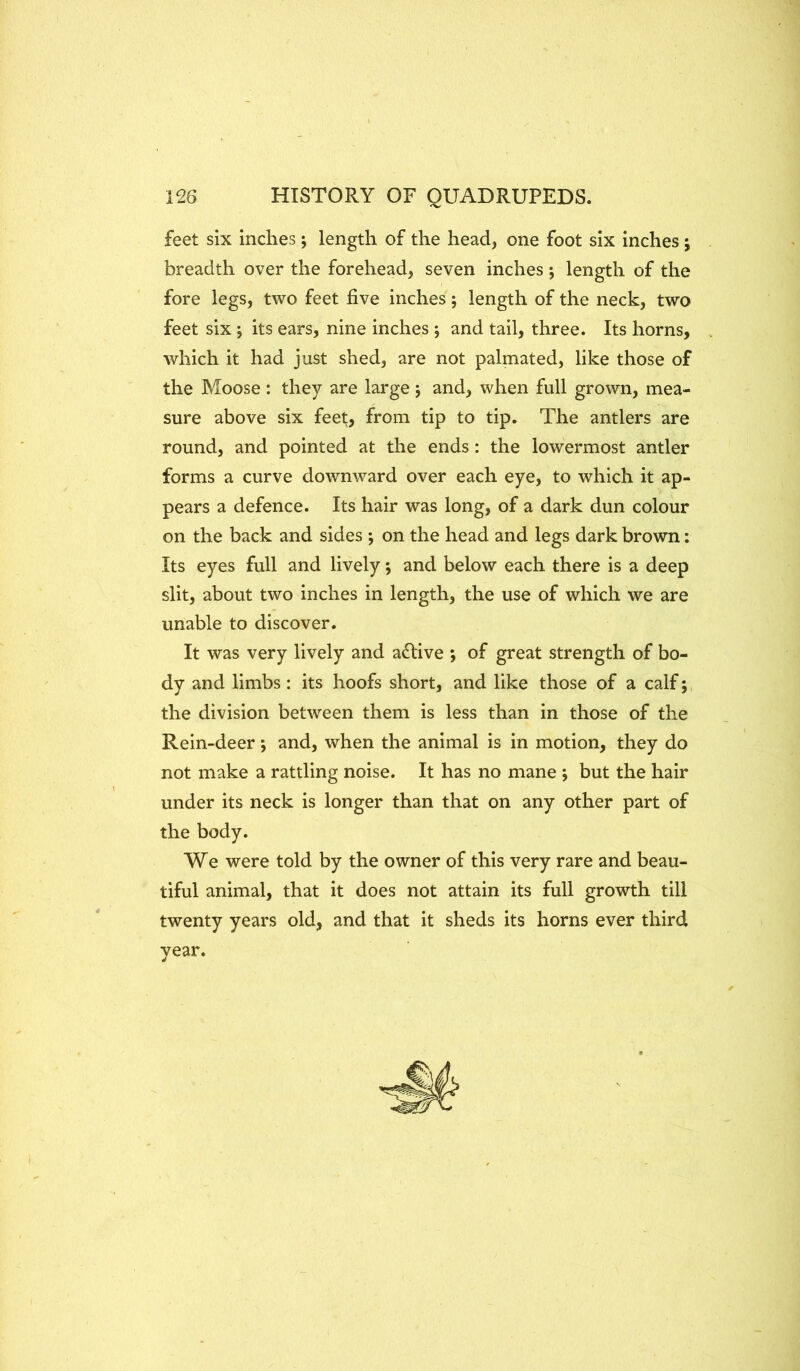 feet six inches; length of the head, one foot six inches j breadth over the forehead, seven inches ; length of the fore legs, two feet five inches; length of the neck, two feet six ; its ears, nine inches ; and tail, three. Its horns, which it had just shed, are not palmated, like those of the Moose: they are large j and, when full grown, mea- sure above six feet, from tip to tip. The antlers are round, and pointed at the ends: the lowermost antler forms a curve downward over each eye, to which it ap- pears a defence. Its hair was long, of a dark dun colour on the back and sides ; on the head and legs dark brown: Its eyes full and lively; and below each there is a deep slit, about two inches in length, the use of which we are unable to discover. It was very lively and a£Hve ; of great strength of bo- dy and limbs: its hoofs short, and like those of a calf; the division between them is less than in those of the Rein-deer *, and, when the animal is in motion, they do not make a rattling noise. It has no mane ; but the hair under its neck is longer than that on any other part of the body. We were told by the owner of this very rare and beau- tiful animal, that it does not attain its full growth till twenty years old, and that it sheds its horns ever third year.