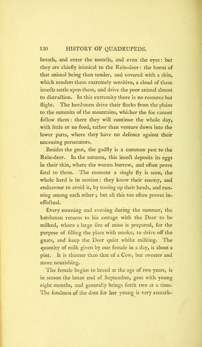 breath, and enter the nostrils, and even the eyes: but they are chiefly inimical to the Rein-deer: the horns of that animal being then tender, and covered with a skin, which renders them extremely sensitive, a cloud of these inse(Sls settle upon them, and drive the poor animal almost to distraflion. In this extremity there is no resource but flight. The herdsmen drive their flocks from the plains to the summits of the mountains, whither the foe cannot follow them: there they will continue the whole day, with little or no food, rather than venture down into the lower parts, where they have no defence against their unceasing persecutors. Besides the gnat, the gadfly is a common pest to the Rein-deer. In the autumn, this insert deposits its eggs in their skin, where the worms burrow, and often prove fatal to them. The moment a single fly is seen, the whole herd is in motion : they know their enemy, and endeavour to avoid it, by tossing up their heads, and run- ning among each other *, but all this too often proves in- effectual. Every morning and evening during the summer, the herdsman returns to his cottage with the Deer to be milked, where a large fire of moss is prepared, for the purpose of filling the place with smoke, to drive off the gnats, and keep the Deer quiet whilst milking. The quantity of milk given by one female in a day, is about a pint. It is thinner than that of a Cow, but sweeter and more nourishing. The female begins to breed at the age of two years, is in season the latter end of September, goes with young eight months, and generally brings forth two at a time. The fondness of the dam for her young is very remark^*