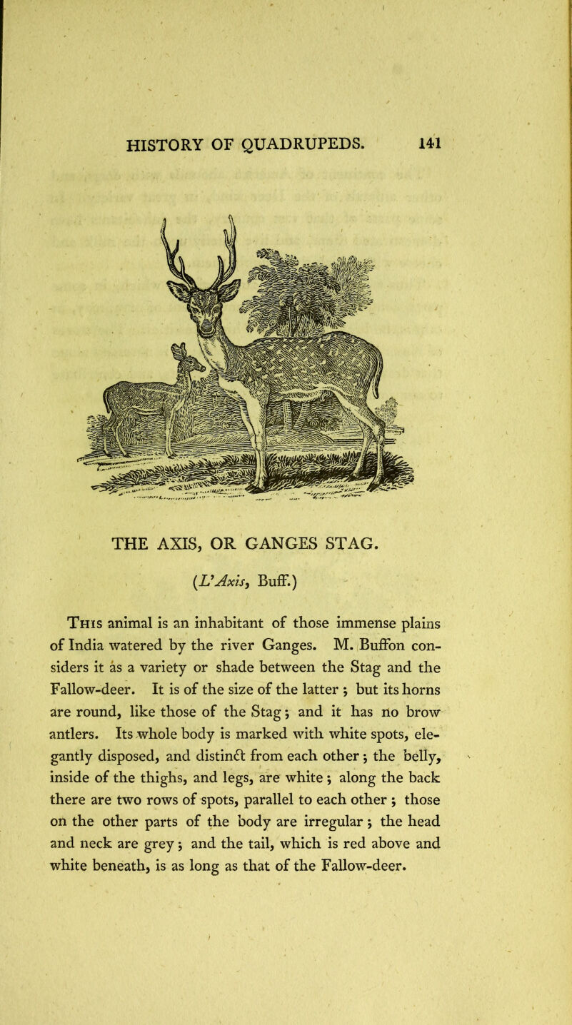 ( HISTORY OF QUADRUPEDS. 141 THE AXIS, OR GANGES STAG. [UAxis, Buff.) This animal is an inhabitant of those immense plains of India watered by the river Ganges. M. Buffon con- siders it as a variety or shade between the Stag and the Fallow-deer. It is of the size of the latter j but its horns are round, like those of the Stag; and it has ilo brow antlers. Its whole body is marked with white spots, ele- gantly disposed, and distindl from each other j the belly> inside of the thighs, and legs, are white ; along the back there are two rows of spots, parallel to each other ; those on the other parts of the body are irregular j the head and neck are grey j and the tail, which is red above and white beneath, is as long as that of the Fallow-deer. /