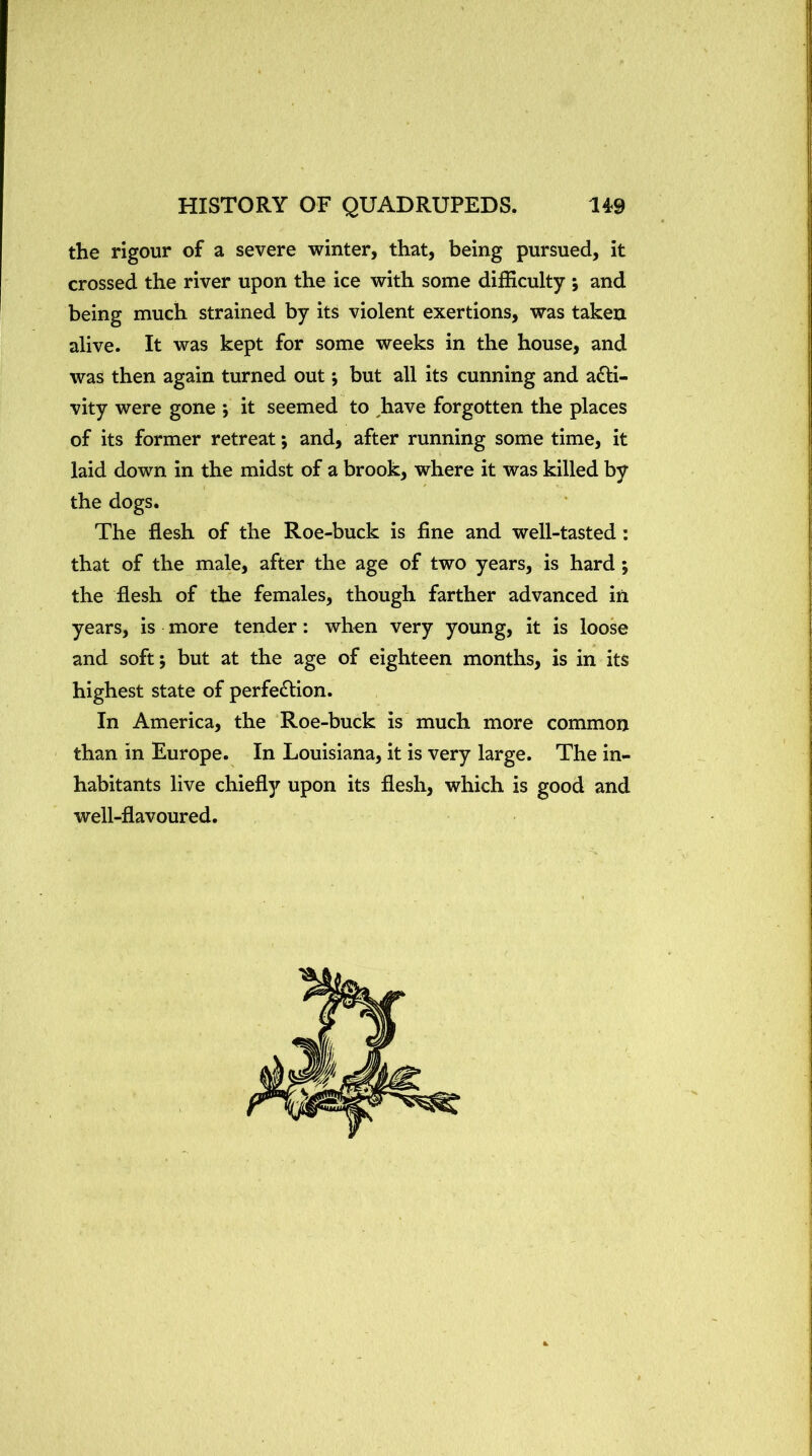 the rigour of a severe winter, that, being pursued, it crossed the river upon the ice with some difficulty j and being much strained by its violent exertions, was taken alive. It was kept for some weeks in the house, and was then again turned out *, but all its cunning and a£Ii- vity were gone *, it seemed to ^have forgotten the places of its former retreat; and, after running some time, it laid down in the midst of a brook, where it was killed by the dogs. The flesh of the Roe-buck is fine and well-tasted: that of the male, after the age of two years, is hard; the flesh of the females, though farther advanced in years, is more tender: when very young, it is loose and soft; but at the age of eighteen months, is in its highest state of perfection. In America, the Roe-buck is much more common than in Europe. In Louisiana, it is very large. The in- habitants live chiefly upon its flesh, which is good and well-flavoured.