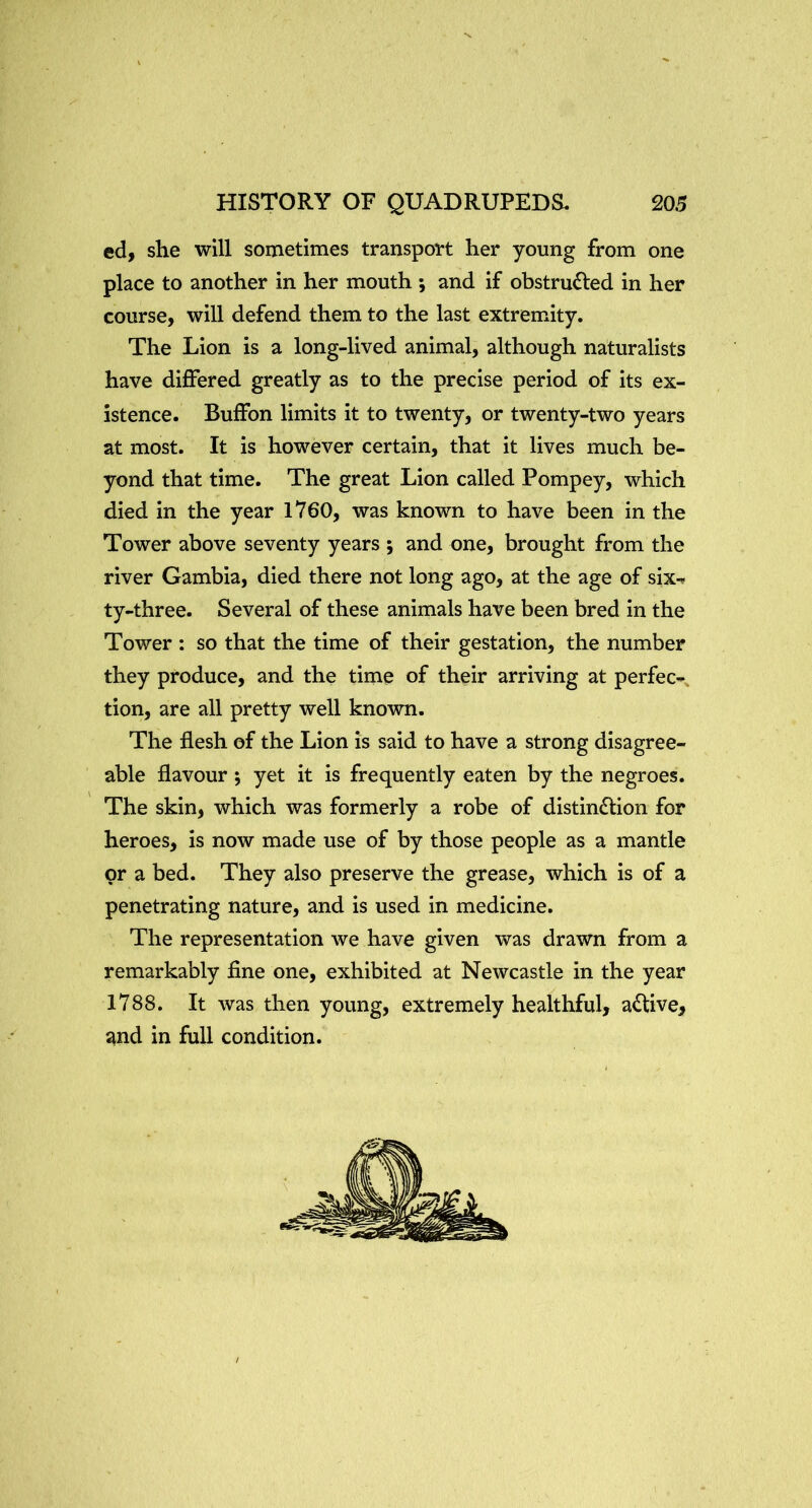 ed, she will sometimes transport her young from one place to another in her mouth ; and if obstructed in her course, will defend them to the last extremity. The Lion is a long-lived animal, although naturalists have differed greatly as to the precise period of its ex- istence. Buffon limits it to twenty, or twenty-two years at most. It is however certain, that it lives much be- yond that time. The great Lion called Pompey, which died in the year 1760, was known to have been in the Tower above seventy years ; and one, brought from the river Gambia, died there not long ago, at the age of six-? ty-three. Several of these animals have been bred in the Tower ; so that the time of their gestation, the number they produce, and the time of their arriving at perfec-, tion, are all pretty well known. The flesh of the Lion is said to have a strong disagree- able flavour ; yet it is frequently eaten by the negroes. The skin, which was formerly a robe of distinction for heroes, is now made use of by those people as a mantle or a bed. They also preserve the grease, which is of a penetrating nature, and is used in medicine. The representation we have given was drawn from a remarkably fine one, exhibited at Newcastle in the year 1788. It was then young, extremely healthful, aCtive, and in full condition.