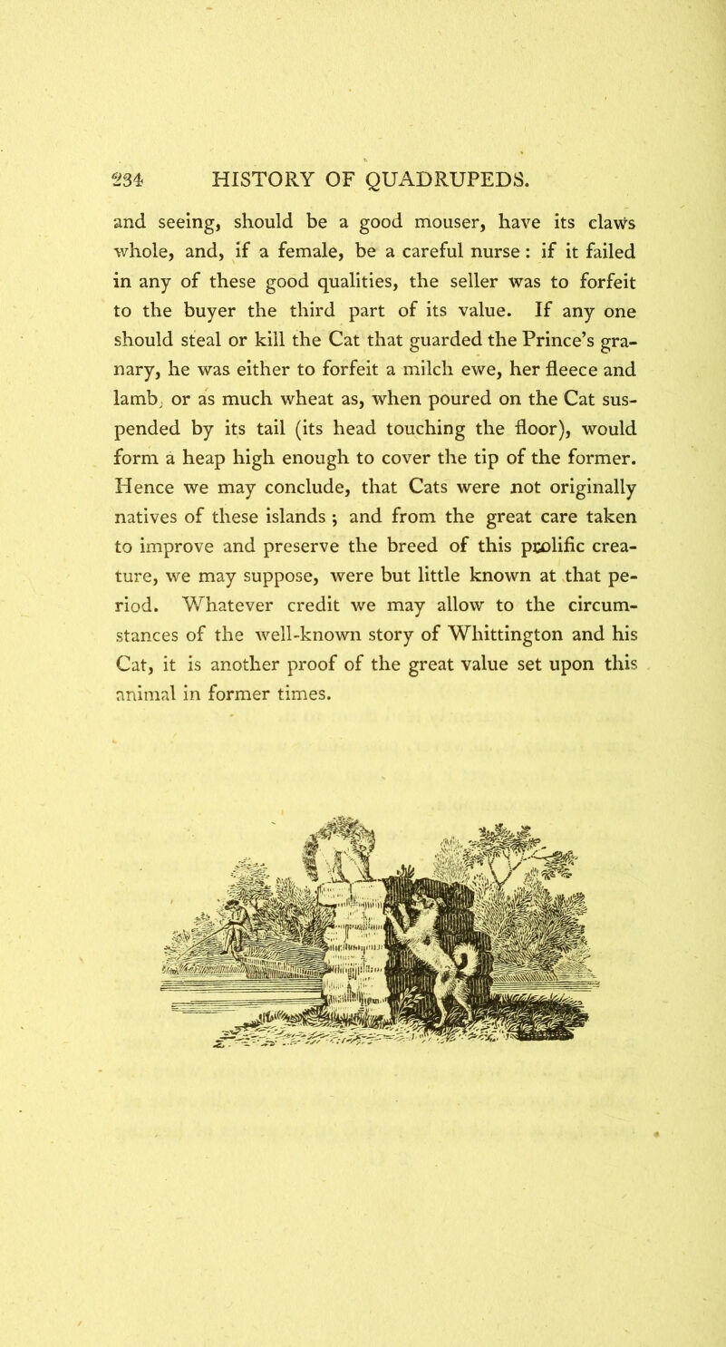 and seeing, should be a good mouser, have its claws whole, and, if a female, be a careful nurse: if it failed in any of these good qualities, the seller was to forfeit to the buyer the third part of its value. If any one should steal or kill the Cat that guarded the Prince’s gra- nary, he was either to forfeit a milch ewe, her fleece and lamb; or as much wheat as, when poured on the Cat sus- pended by its tail (its head touching the floor), would form a heap high enough to cover the tip of the former. Hence we may conclude, that Cats were not originally natives of these islands ; and from the great care taken to improve and preserve the breed of this prolific crea- ture, we may suppose, were but little known at that pe- riod. Whatever credit we may allow to the circum- stances of the well-known story of Whittington and his Cat, it is another proof of the great value set upon this animal in former times.