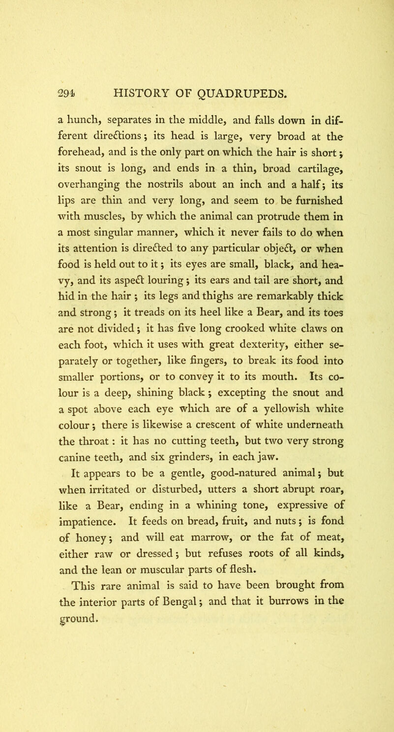 a hunch, separates in the middle, and falls down in dif- ferent dire£Hons; its head is large, very broad at the forehead, and is the only part on which the hair is short v its snout is long, and ends in a thin, broad cartilage, overhanging the nostrils about an inch and a half; its lips are thin and very long, and seem to be furnished with muscles, by which the animal can protrude them in a most singular manner, which it never fails to do when its attention is diredled to any particular objedl:, or when food is held out to it; its eyes are small, black, and hea- vy, and its aspe£l: louring; its ears and tail are short, and hid in the hair ; its legs and thighs are remarkably thick and strong; it treads on its heel like a Bear, and its toes are not divided; it has five long crooked white claws on each foot, which it uses with great dexterity, either se- parately or together, like fingers, to break its food into smaller portions, or to convey it to its mouth. Its co- lour is a deep, shining black; excepting the snout and a spot above each eye which are of a yellowish white colour j there is likewise a crescent of white underneath the throat: it has no cutting teeth, but two very strong canine teeth, and six grinders, in each jaw. It appears to be a gentle, good-natured animal; but when irritated or disturbed, utters a short abrupt roar, like a Bear, ending in a whining tone, expressive of impatience. It feeds on bread, fruit, and nuts ; is fond of honey, and will eat marrow, or the fat of meat, either raw or dressed *, but refuses roots of all kinds, and the lean or muscular parts of flesh. This rare animal is said to have been brought from the interior parts of Bengal; and that it burrows in the ground.