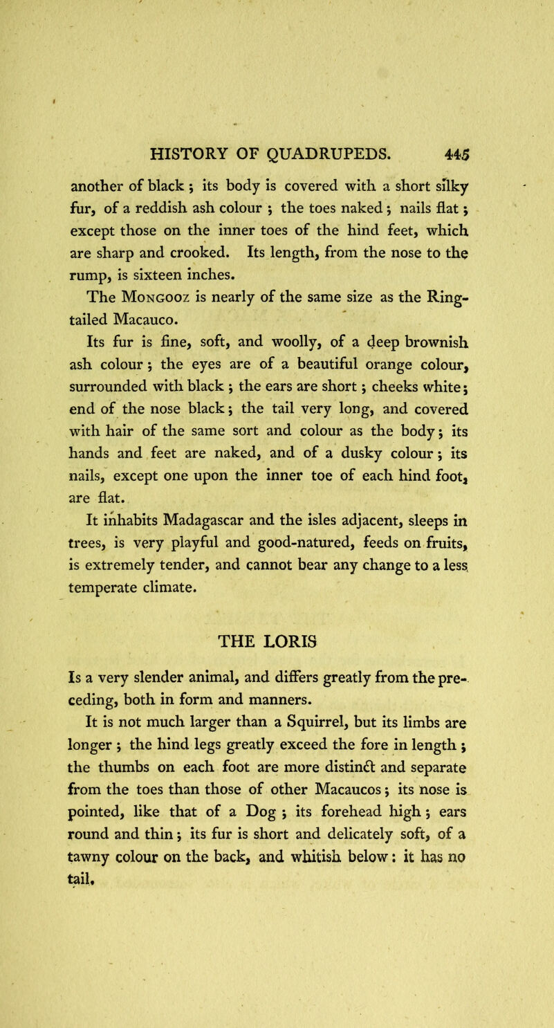 another of black ; its body is covered with a short silky fur, of a reddish ash colour ; the toes naked; nails flat; except those on the inner toes of the hind feet, which are sharp and crooked. Its length, from the nose to the rump, is sixteen inches. The Mongooz is nearly of the same size as the Ring- tailed Macauco. Its fur is fine, soft, and woolly, of a deep brownish ash colour •, the eyes are of a beautiful orange colour, surrounded with black ; the ears are short; cheeks white; end of the nose black; the tail very long, and covered with hair of the same sort and colour as the body 5 its hands and feet are naked, and of a dusky colour; its nails, except one upon the inner toe of each hind foot, are flat. It inhabits Madagascar and the isles adjacent, sleeps in trees, is very playful and good-natured, feeds on fruits, is extremely tender, and cannot bear any change to a less temperate climate. THE LORIS Is a very slender animal, and differs greatly from the pre- ceding, both in form and manners. It is not much larger than a Squirrel, but its limbs are longer ; the hind legs greatly exceed the fore in length j the thumbs on each foot are more distindl and separate from the toes than those of other Macaucos j its nose is pointed, like that of a Dog ; its forehead high; ears round and thin *, its fur is short and delicately soft, of a tawny colour on the back, and whitish below: it has no tail.