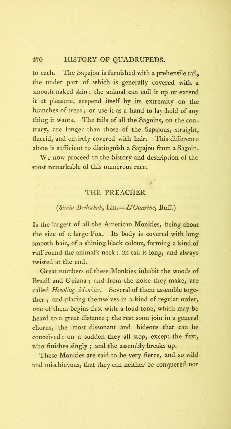 to each. The Sapajou is furnished with a prehensile tail, the under part of which is generally covered with a smooth naked skin: the animal can coil it up or extend it at pleasure, suspend itself by its extremity on the branches of trees , or use it as a hand to lay hold of any thing it wants. The tails of all the Sagoins, on the con- trary, are longer than those of the Sapajous, straight, flaccid, and entirely covered with hair. This dlflerence alone is sufflcient to distinguish a Sapajou from a Sagoin. We now proceed to the history-and description of the most remarkable of this numerous race. THE PREACHER Beelzebub^ Lin.—UOuarine^ BufF.) Is the largest of all the American Monkies, being about the size of a large Fox. Its body is covered with long smooth hair, of a shining black colour, forming a kind of ruif round the animal’s neck: its tail is long, and always twisted at the end. Great numbers of these Monkies inhabit the woods of Brazil and Guiana ; and from the noise they make, are called Howling Monhies. Several of them assemble toge- ther j and placing themselves in a kind of regular order, one of them begins first with a loud tone, which may be heard to a great distance ; the rest soon join in a general chorus, the most dissonant and hideous that can be conceived: on a sudden they all stop, except the first, who finishes singly \ and the assembly breaks up. These Monkies are said to be very fierce, and so wild and mischievous, that they can neither be conquered nor