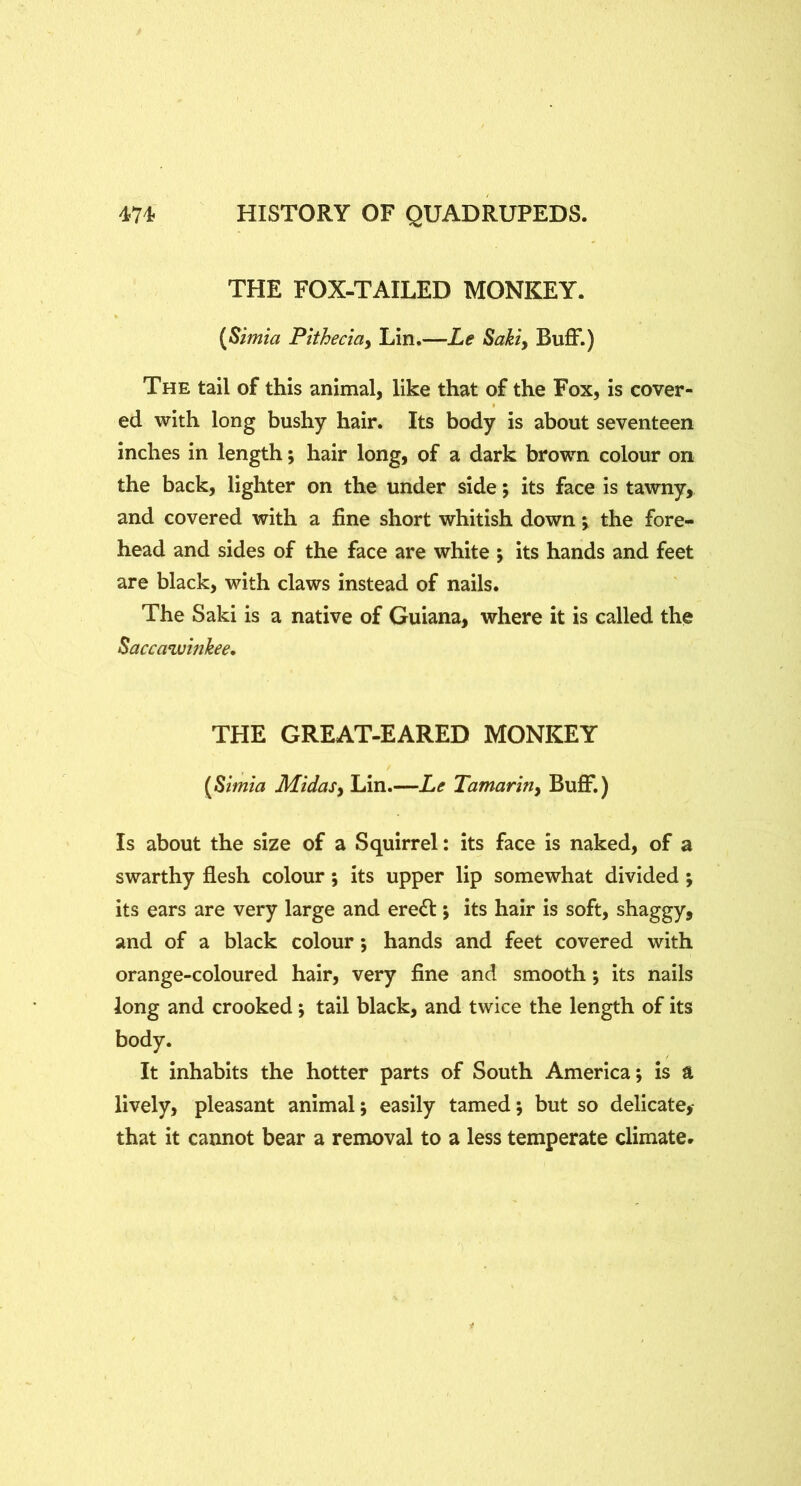 THE FOX-TAILED MONKEY. {Simia Ftthecia^ Lin.—Le Sakiy Buff.) The tail of this animal, like that of the Fox, is cover- ed with long bushy hair. Its body is about seventeen inches in length; hair long, of a dark brown colour on the back, lighter on the under side; its face is tawny, and covered with a fine short whitish down \ the fore- head and sides of the face are white ; its hands and feet are black, with claws instead of nails. The Saki is a native of Guiana, where it is called the Saccawinhee, THE GREAT-EARED MONKEY {Simia Midasy Lin.—Le Tamaririy Buff.) Is about the size of a Squirrel: its face is naked, of a swarthy flesh colour; its upper lip somewhat divided; its ears are very large and ere6t j its hair is soft, shaggy, and of a black colour *, hands and feet covered with orange-coloured hair, very fine and smooth; its nails long and crooked; tail black, and twice the length of its body. It inhabits the hotter parts of South America; is ft lively, pleasant animal; easily tamed; but so delicate,* that it cannot bear a removal to a less temperate climate*