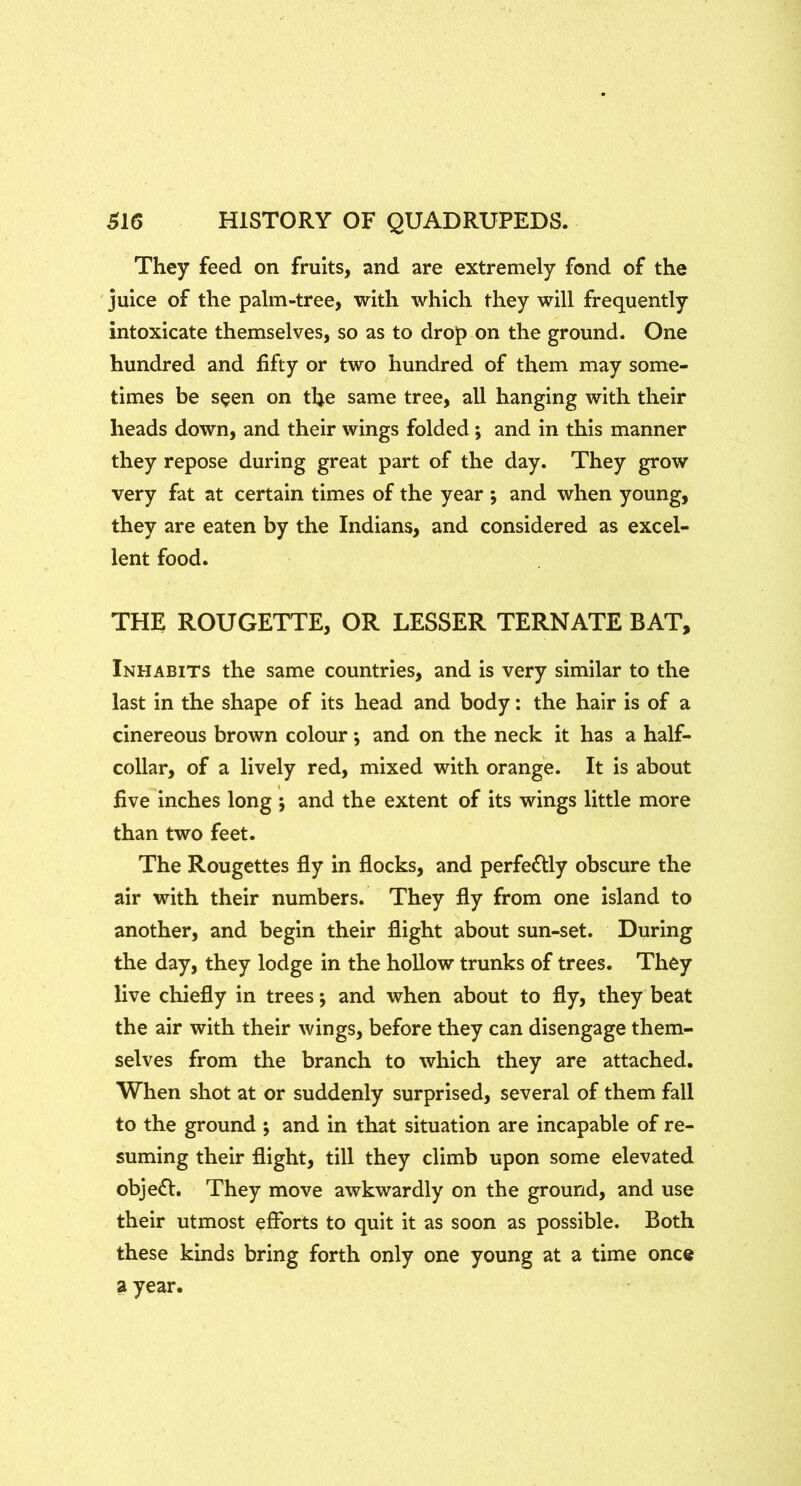 They feed on fruits, and are extremely fond of the juice of the palm-tree, with which they will frequently intoxicate themselves, so as to drop on the ground. One hundred and fifty or two hundred of them may some- times be s^en on the same tree, all hanging with their heads down, and their wings folded; and in this manner they repose during great part of the day. They grow very fat at certain times of the year ; and when young, they are eaten by the Indians, and considered as excel- lent food. THE ROUGETTE, OR LESSER TERNATE BAT, Inhabits the same countries, and is very similar to the last in the shape of its head and body: the hair is of a cinereous brown colour; and on the neck it has a half- collar, of a lively red, mixed with orange. It is about five inches long ; and the extent of its wings little more than two feet. The Rougettes fly in flocks, and perfedlly obscure the air with their numbers. They fly from one island to another, and begin their flight about sun-set. During the day, they lodge in the hollow trunks of trees. They live chiefly in trees 5 and when about to fly, they beat the air with their wings, before they can disengage them- selves from the branch to which they are attached. When shot at or suddenly surprised, several of them fall to the ground ; and in that situation are incapable of re- suming their flight, till they climb upon some elevated obje£l. They move awkwardly on the ground, and use their utmost efforts to quit it as soon as possible. Both these kinds bring forth only one young at a time once a year.