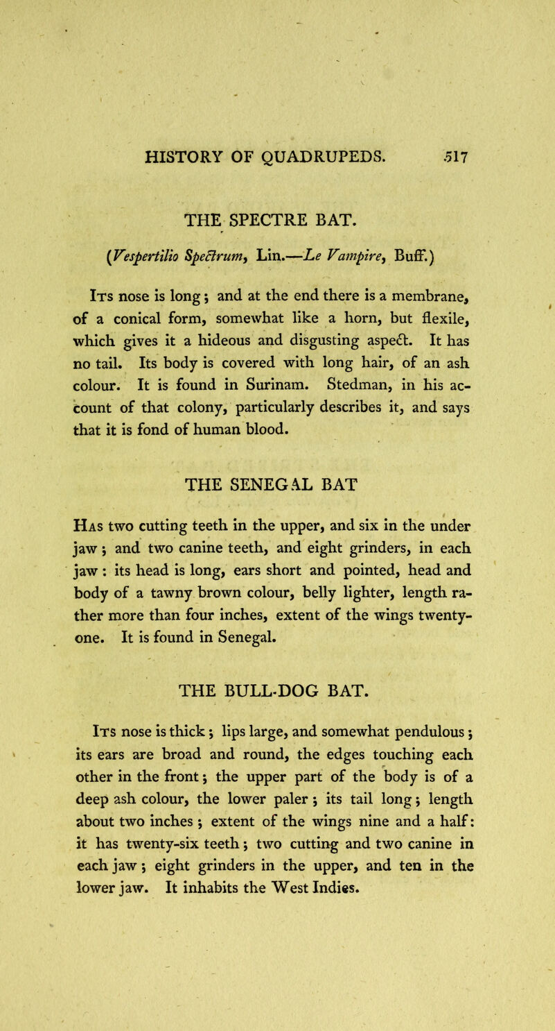THE SPECTRE BAT. {Vespertilio SpeBrutUy Lin.—Vampire^ Buff.) Its nose is long; and at the end there is a membrane, of a conical form, somewhat like a horn, but flexile, which gives it a hideous and disgusting aspedl. It has no tail. Its body is covered with long hair, of an ash colour. It is found in Surinam. Stedman, in his ac- count of that colony, particularly describes it, and says that it is fond of human blood. THE SENEG.\L BAT Has two cutting teeth in the upper, and six in the under jaw; and two canine teeth, and eight grinders, in each jaw: its head is long, ears short and pointed, head and body of a tawny brown colour, belly lighter, length ra- ther more than four inches, extent of the wings twenty- one. It is found in Senegal. THE BULL-DOG BAT. Its nose is thick; lips large, and somewhat pendulous; its ears are broad and round, the edges touching each other in the front; the upper part of the body is of a deep ash colour, the lower paler; its tail long; length about two inches ; extent of the wings nine and a half: it has twenty-six teeth; two cutting and two canine in each jaw; eight grinders in the upper, and ten in the lower jaw. It inhabits the West Indies.