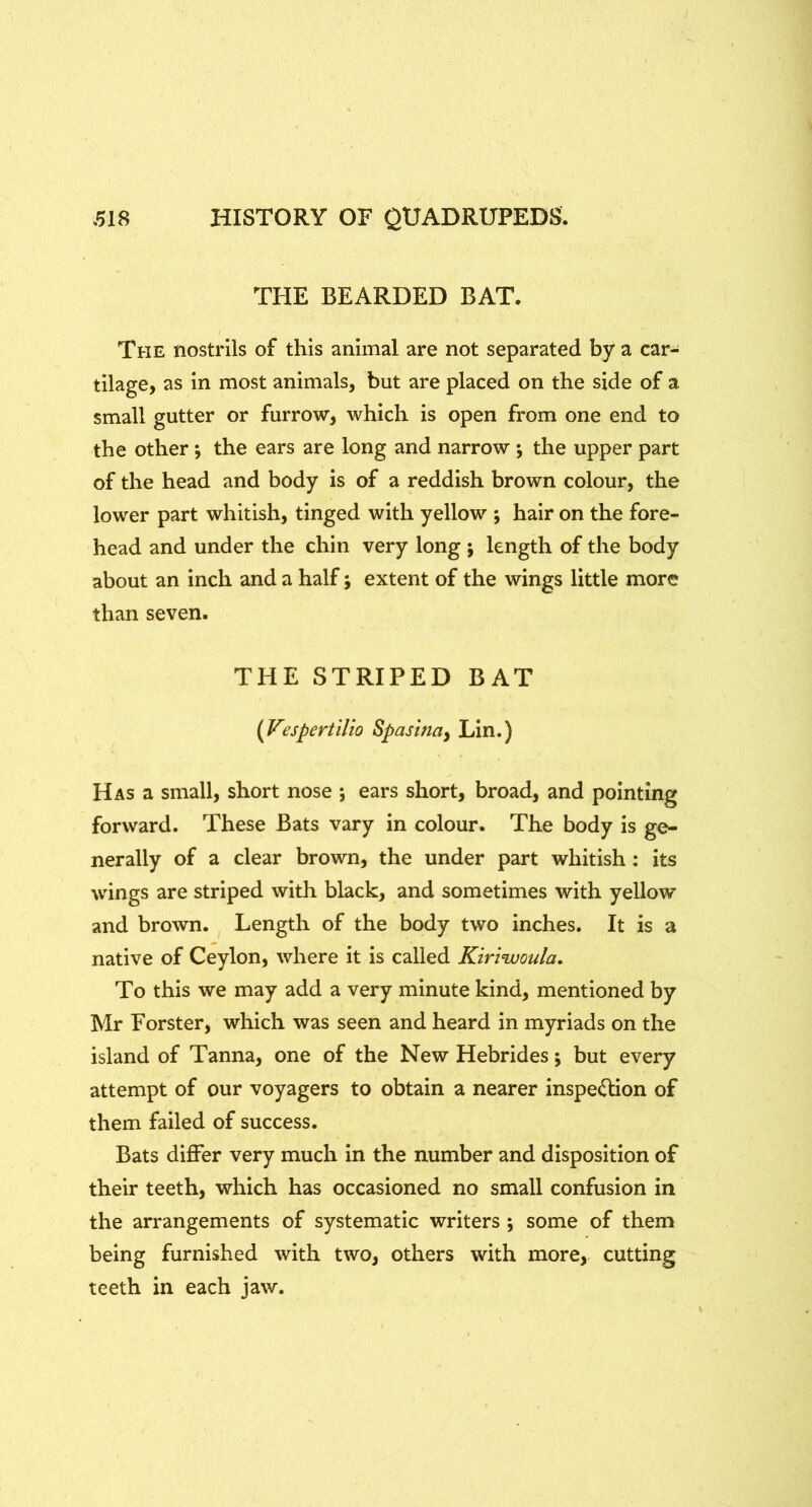THE BEARDED BAT. The nostrils of this animal are not separated by a car- tilage, as in most animals, but are placed on the side of a small gutter or furrow, which is open from one end to the other *, the ears are long and narrow •, the upper part of the head and body is of a reddish brown colour, the lower part whitish, tinged with yellow ; hair on the fore- head and under the chin very long ; length of the body about an inch and a half; extent of the wings little more than seven. THE STRIPED BAT (Vespertilio Spasinay Lin.) Has a small, short nose ; ears short, broad, and pointing forward. These Bats vary in colour. The body is ge- nerally of a clear brown, the under part whitish: its wings are striped with black, and sometimes with yellow and brown. Length of the body two inches. It is a native of Ceylon, where it is called Kiriwoula, To this we may add a very minute kind, mentioned by Mr Forster, which was seen and heard in myriads on the island of Tanna, one of the New Hebrides \ but every attempt of our voyagers to obtain a nearer inspe(^on of them failed of success. Bats differ very much in the number and disposition of their teeth, which has occasioned no small confusion in the arrangements of systematic writers ; some of them being furnished with two, others with more, cutting teeth in each jaw.