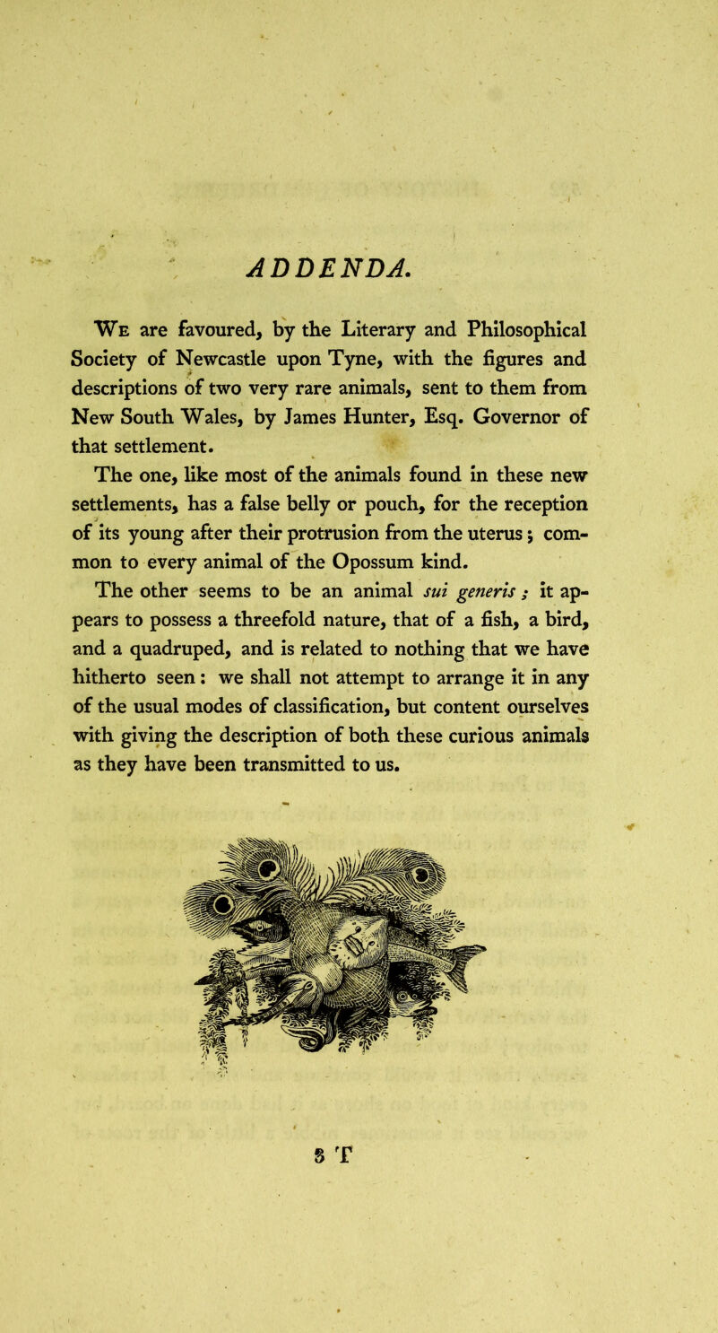 t ADDENDA. We are favoured, by the Literary and Philosophical Society of Newcastle upon Tyne, with the figures and descriptions of two very rare animals, sent to them from New South Wales, by James Hunter, Esq. Governor of that settlement. The one, like most of the animals found in these new settlements, has a false belly or pouch, for the reception of its young after their protrusion from the uterus; com- mon to every animal of the Opossum kind. The other seems to be an animal sui generis ; it ap- pears to possess a threefold nature, that of a fish, a bird, and a quadruped, and is related to nothing that we have hitherto seen; we shall not attempt to arrange it in any of the usual modes of classification, but content ourselves with giving the description of both these curious animals as they have been transmitted to us.